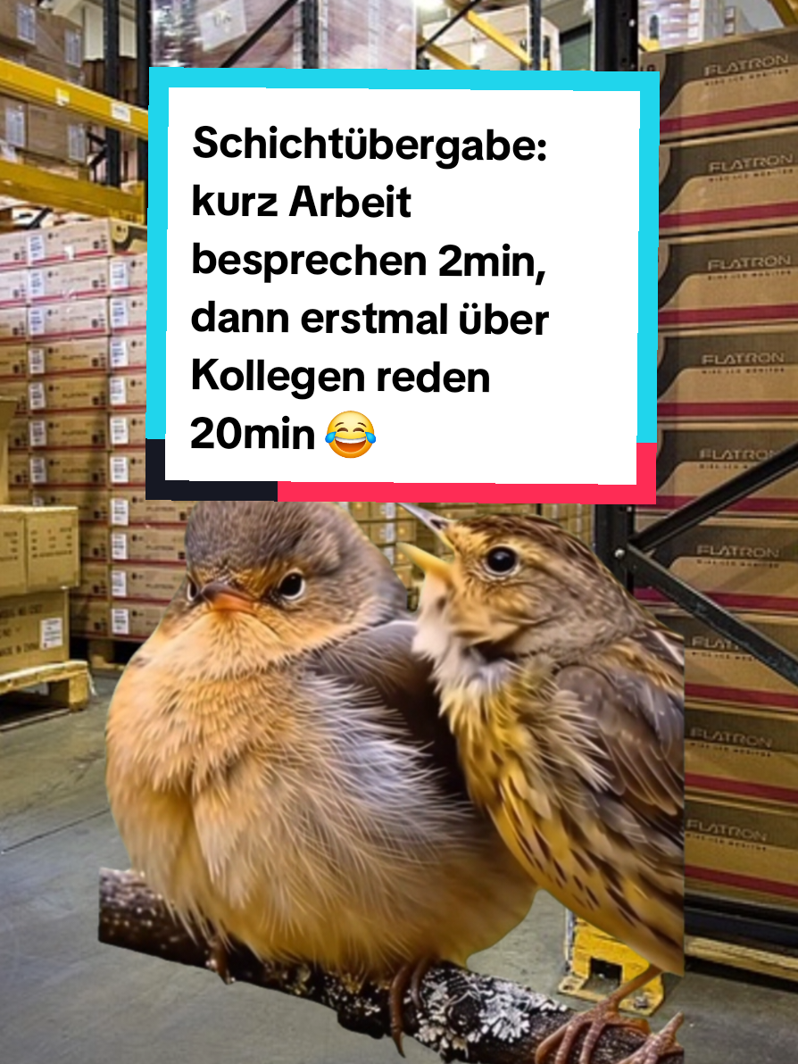 @BroFactsDE