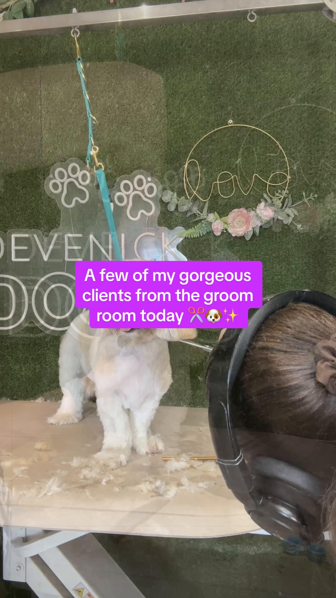 @DevenickDogs