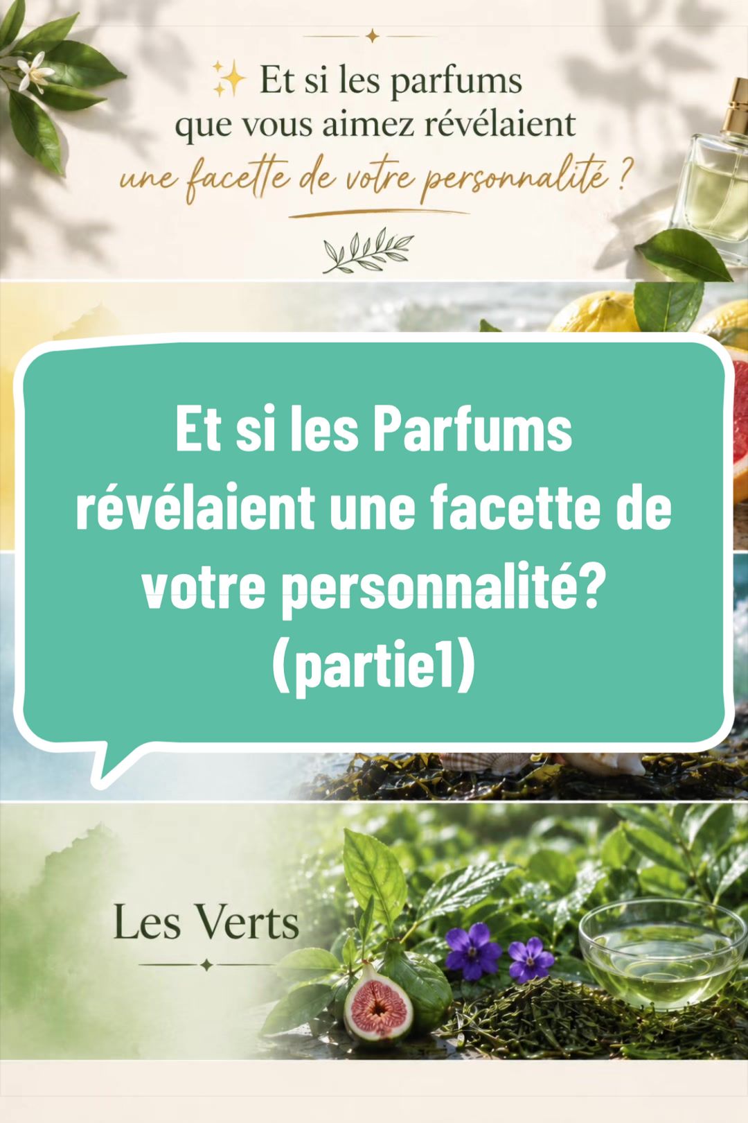 @Addict Perfumist Vava