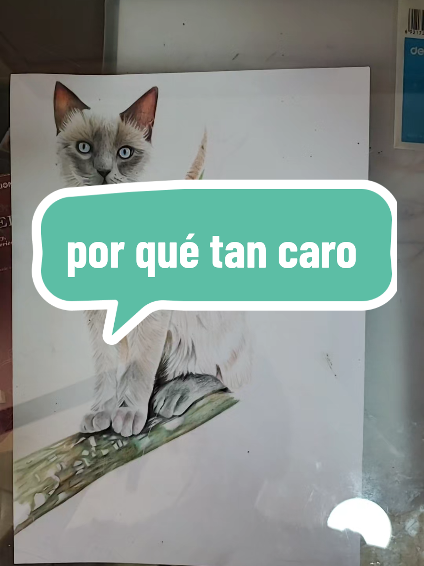 @Luis Dibu: tips de dibujo