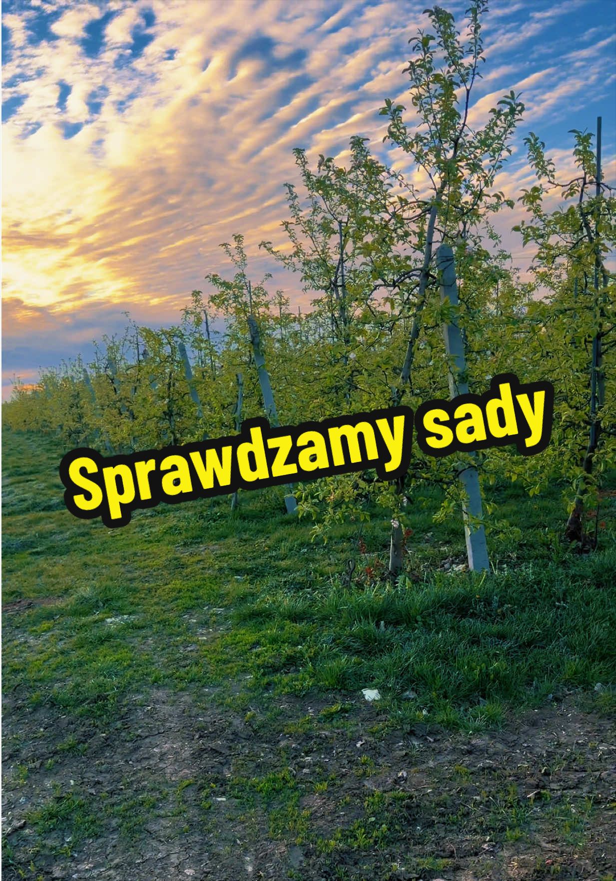 @Sady Puczyński