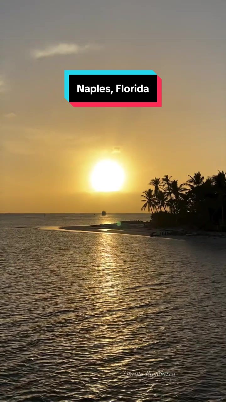@Dorota Miami🇺🇸🇵🇱