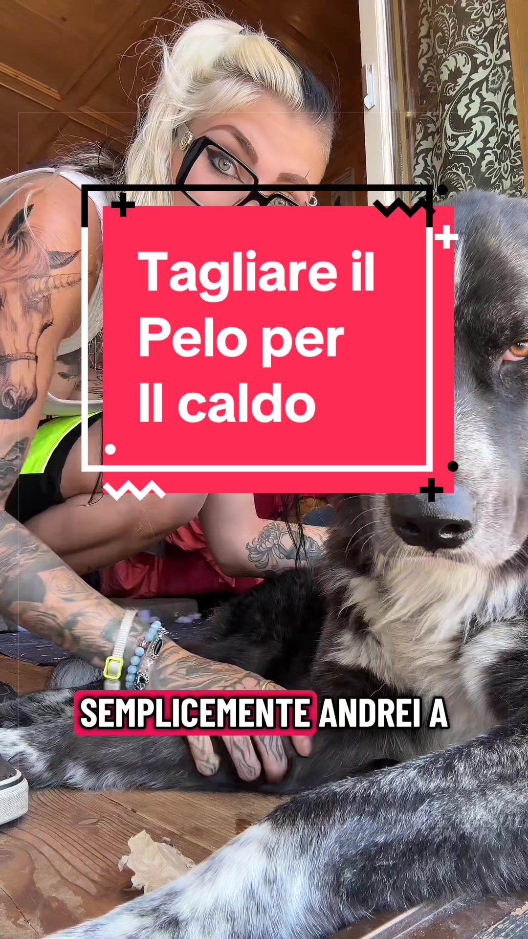 @Erica&3Zampe🐾