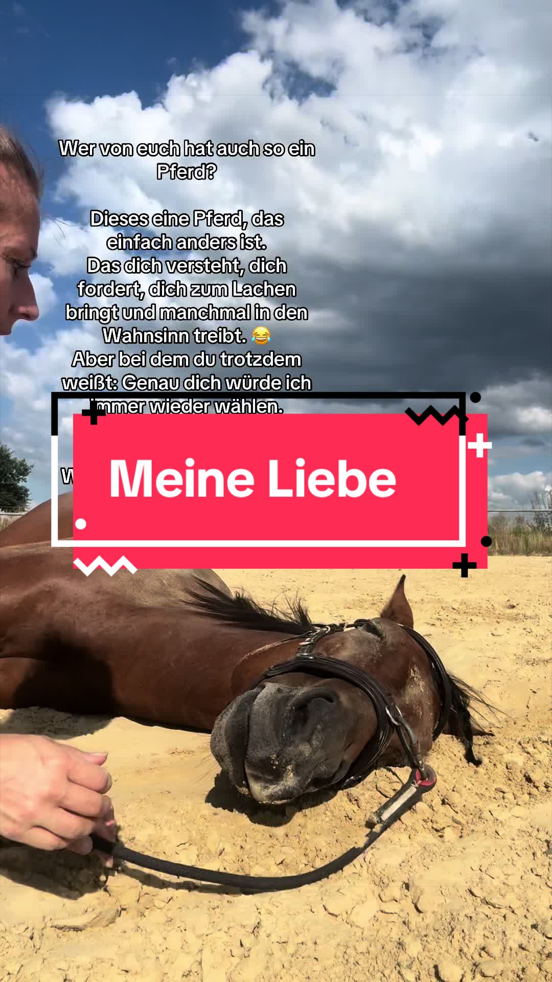 @Sarah Netzel🦄✨