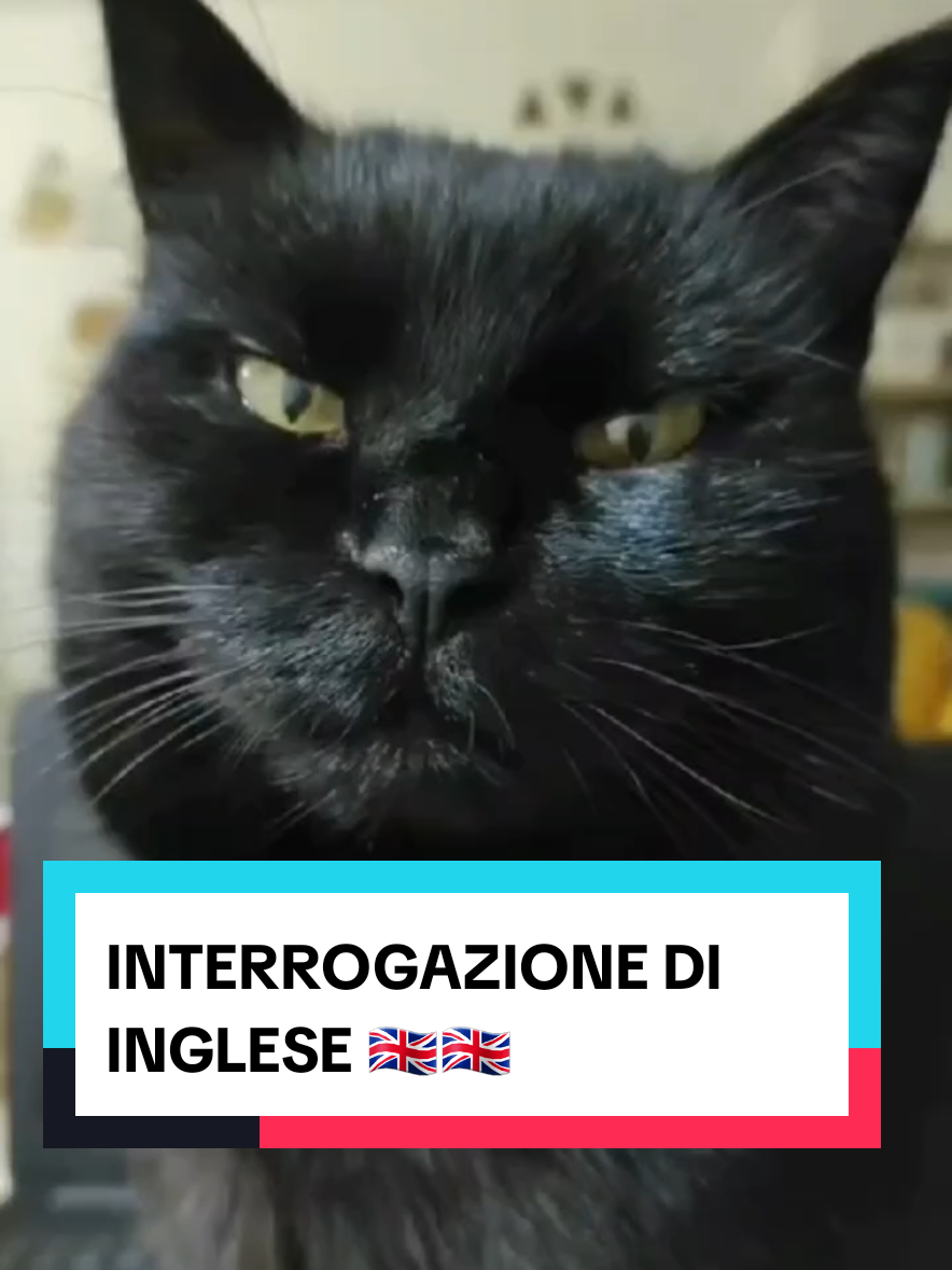 @Rita Tartaria