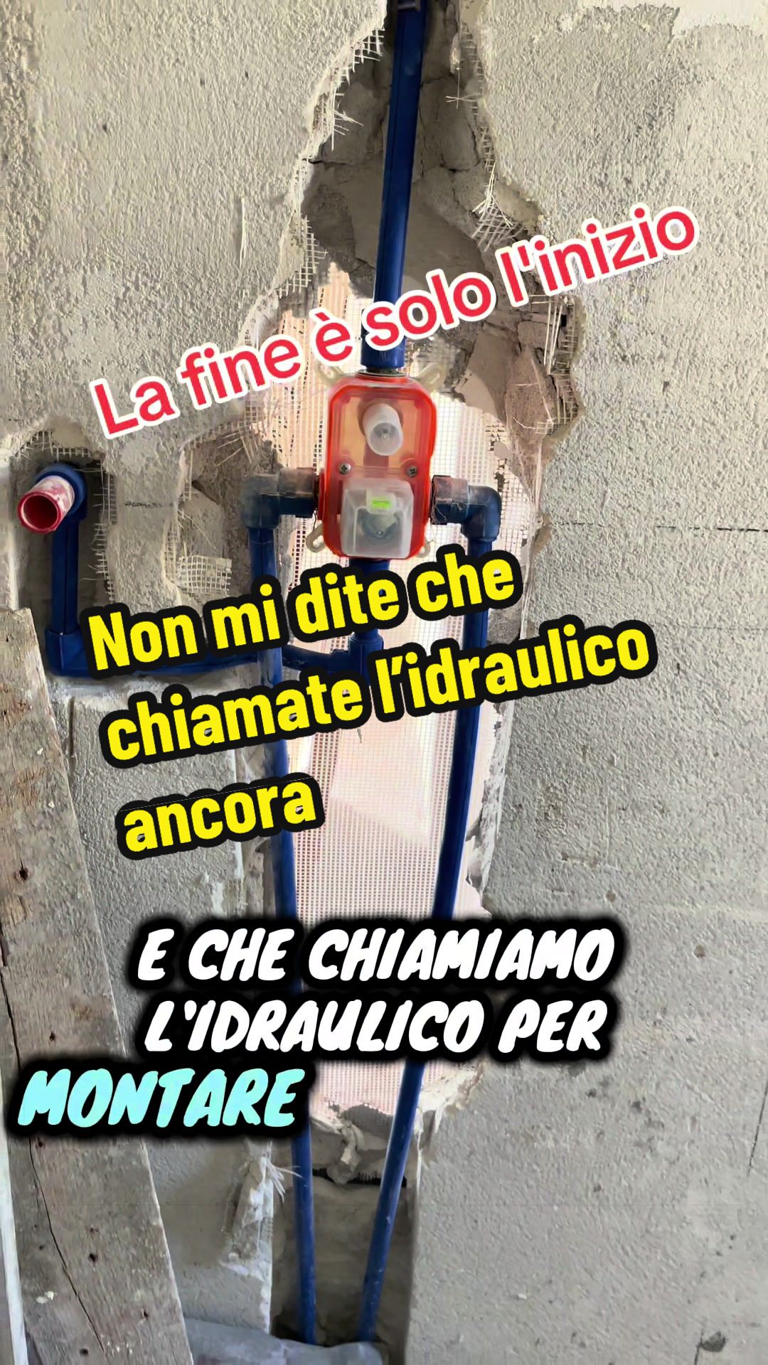 @Alessandro Cuomo ♌️