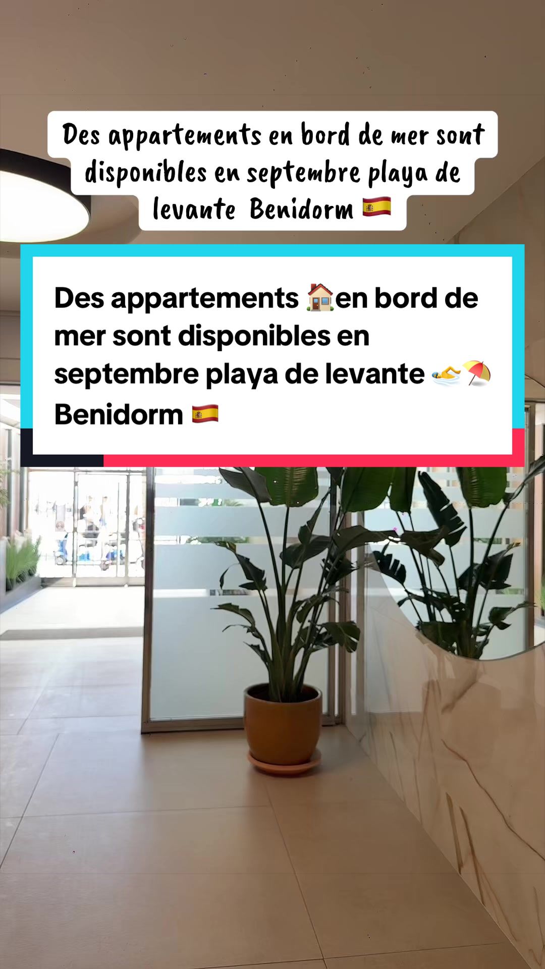 @Karim Benidorm 🇪🇦🇩🇿