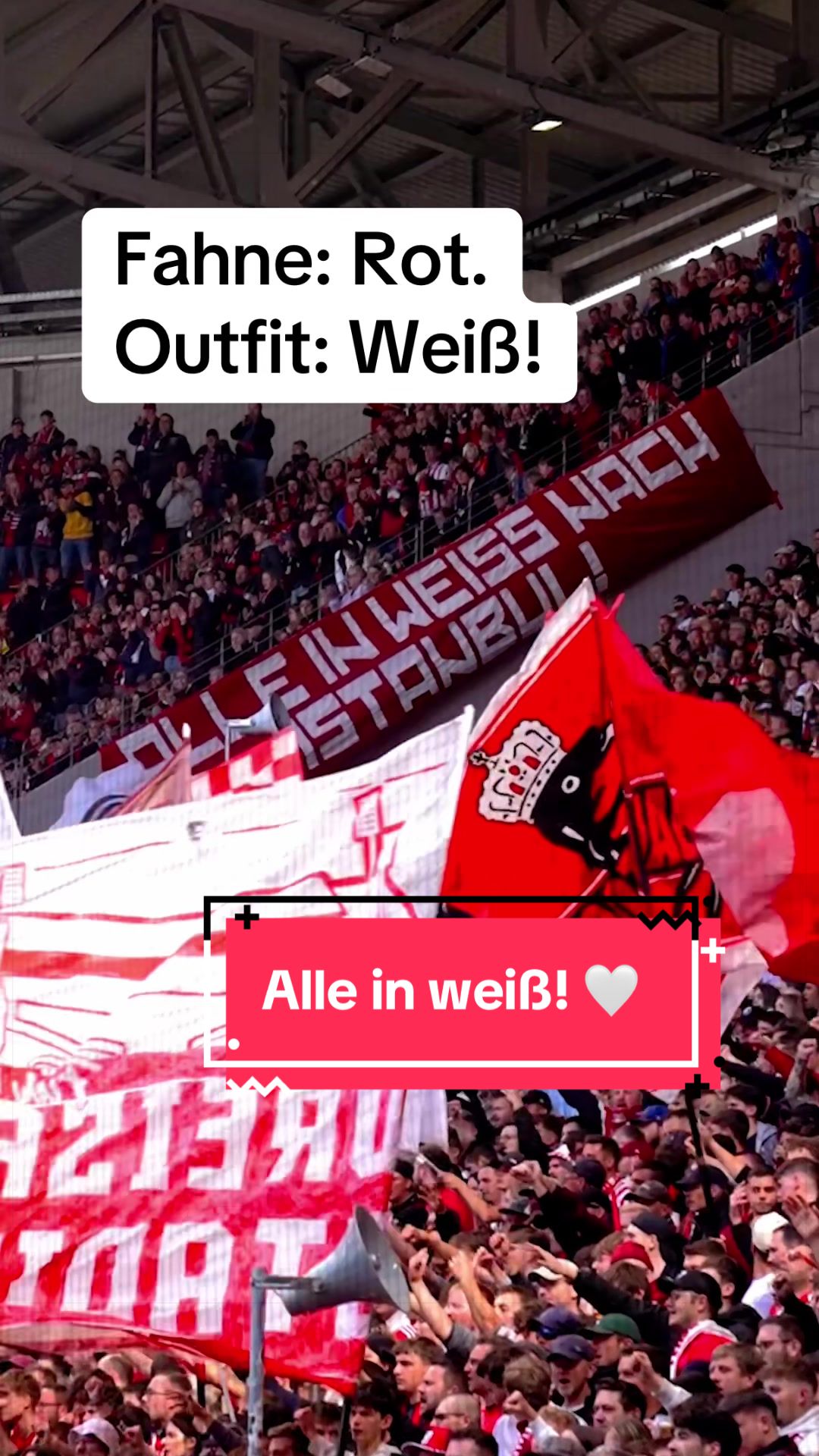 @SC Freiburg