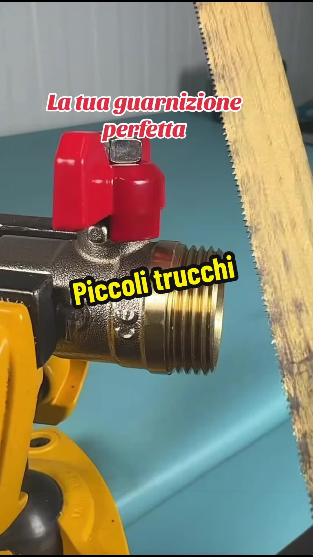 @Alessandro Cuomo ♌️