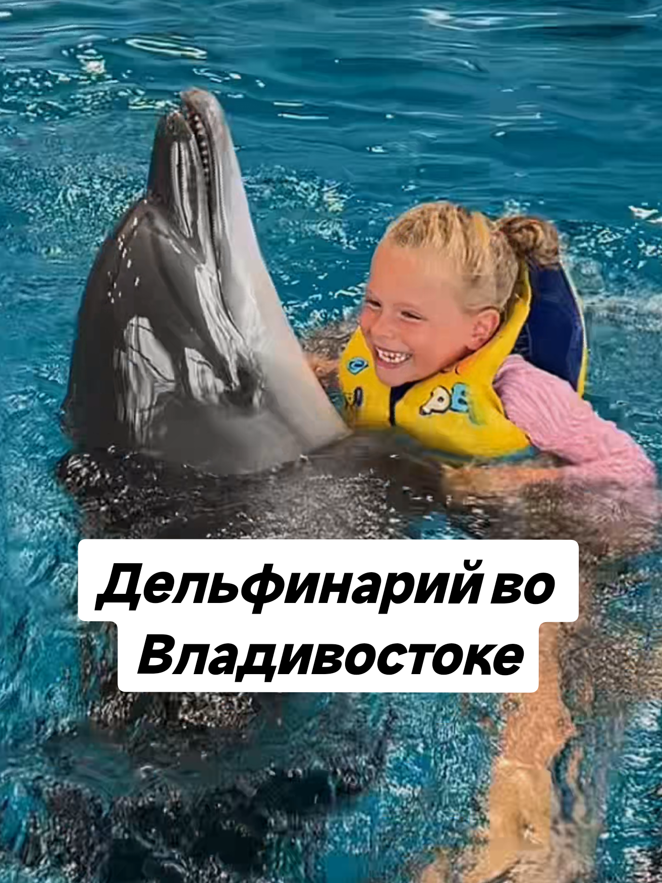 @Елена Шкода