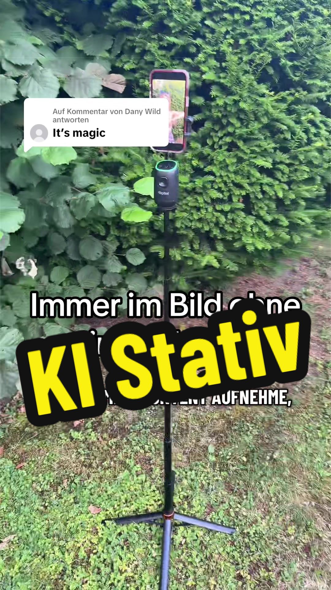 @Nessis_world