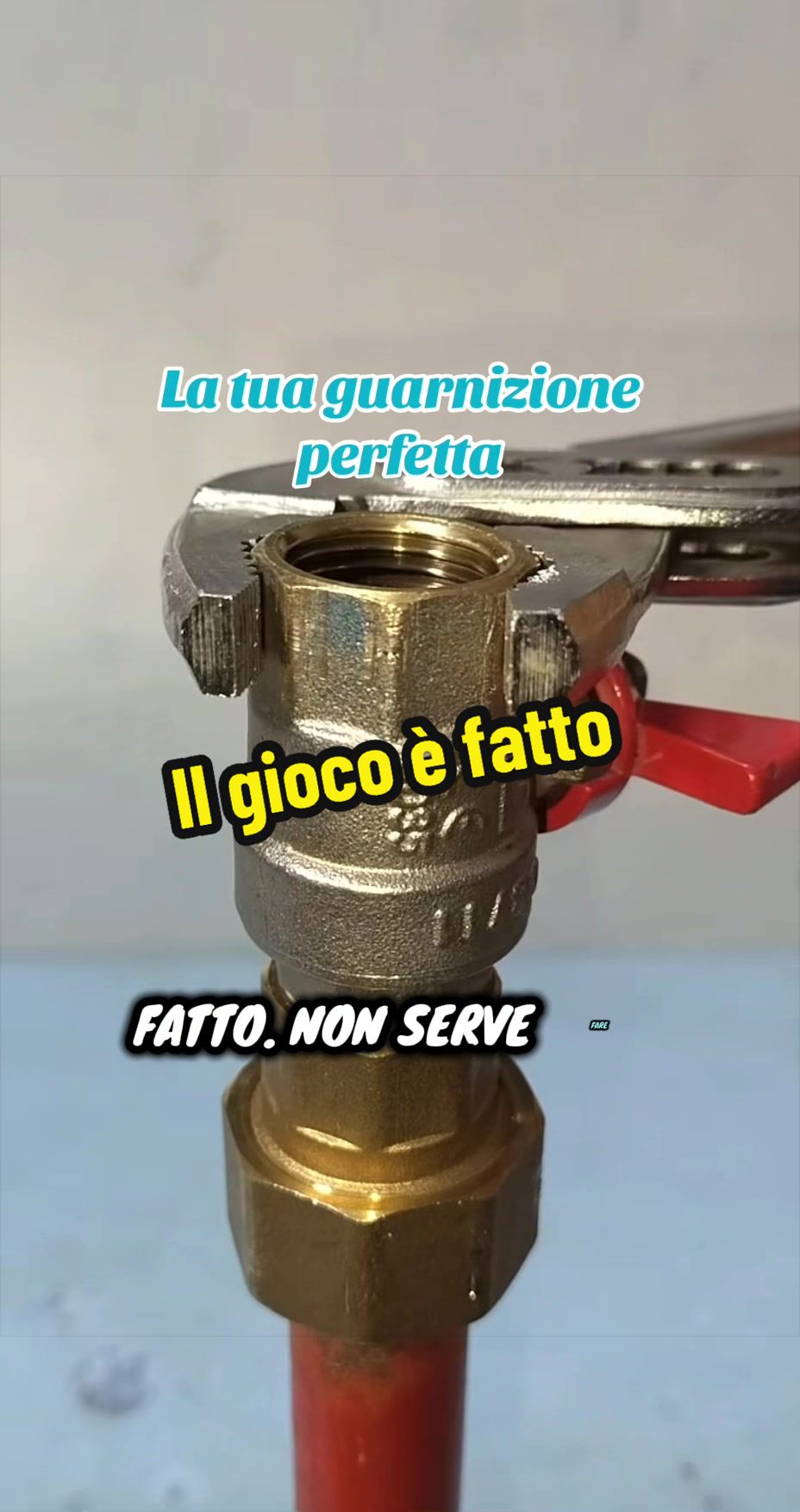 @Alessandro Cuomo ♌️