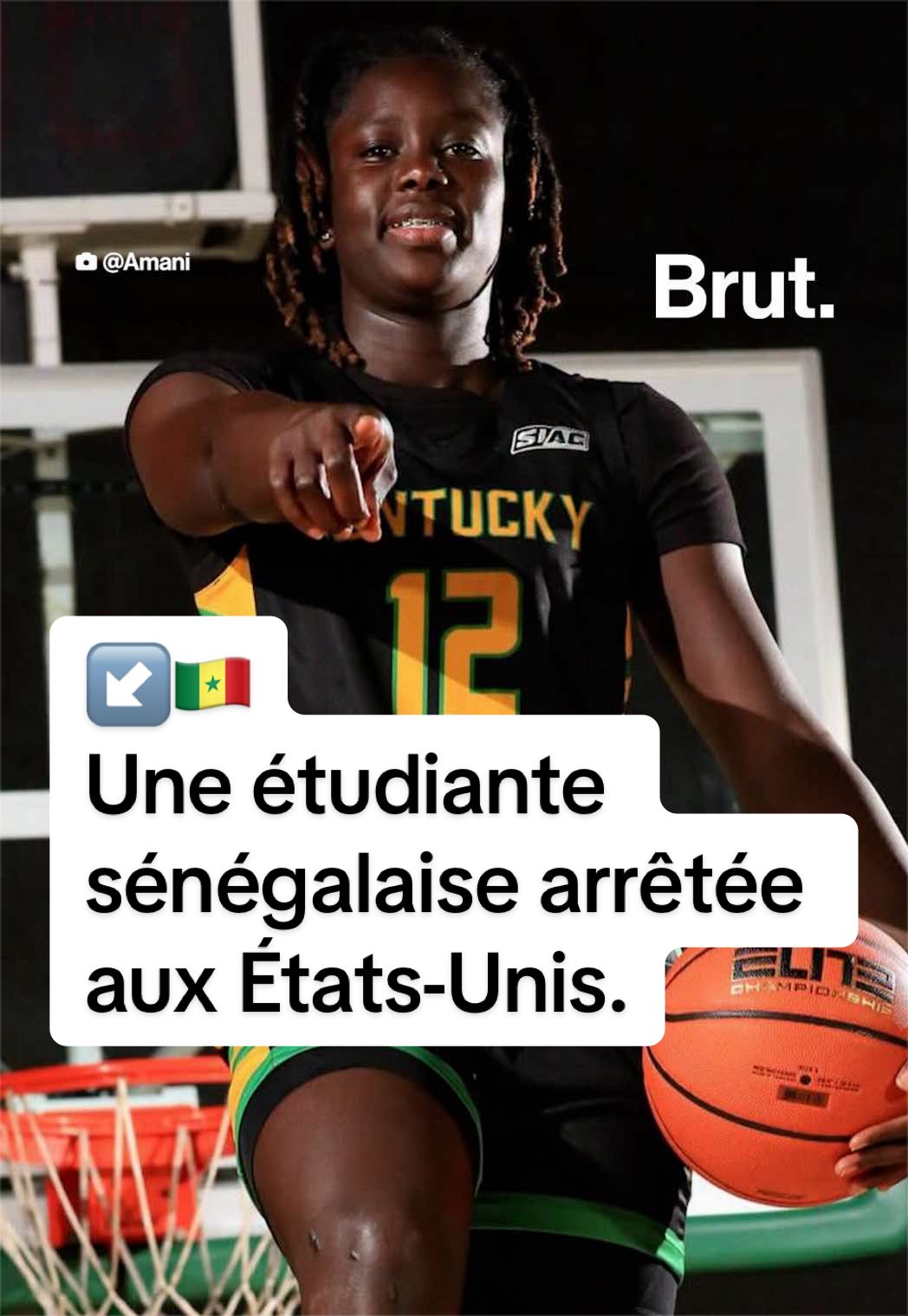 @Brut. Afrique