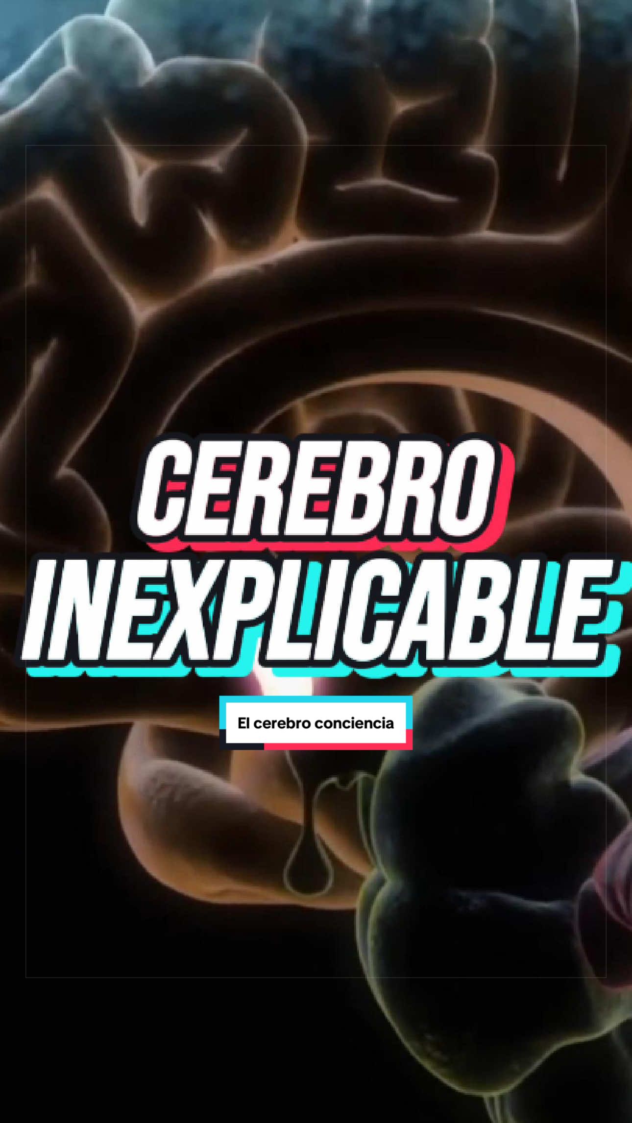@ArchivoXtra&ntilde;o