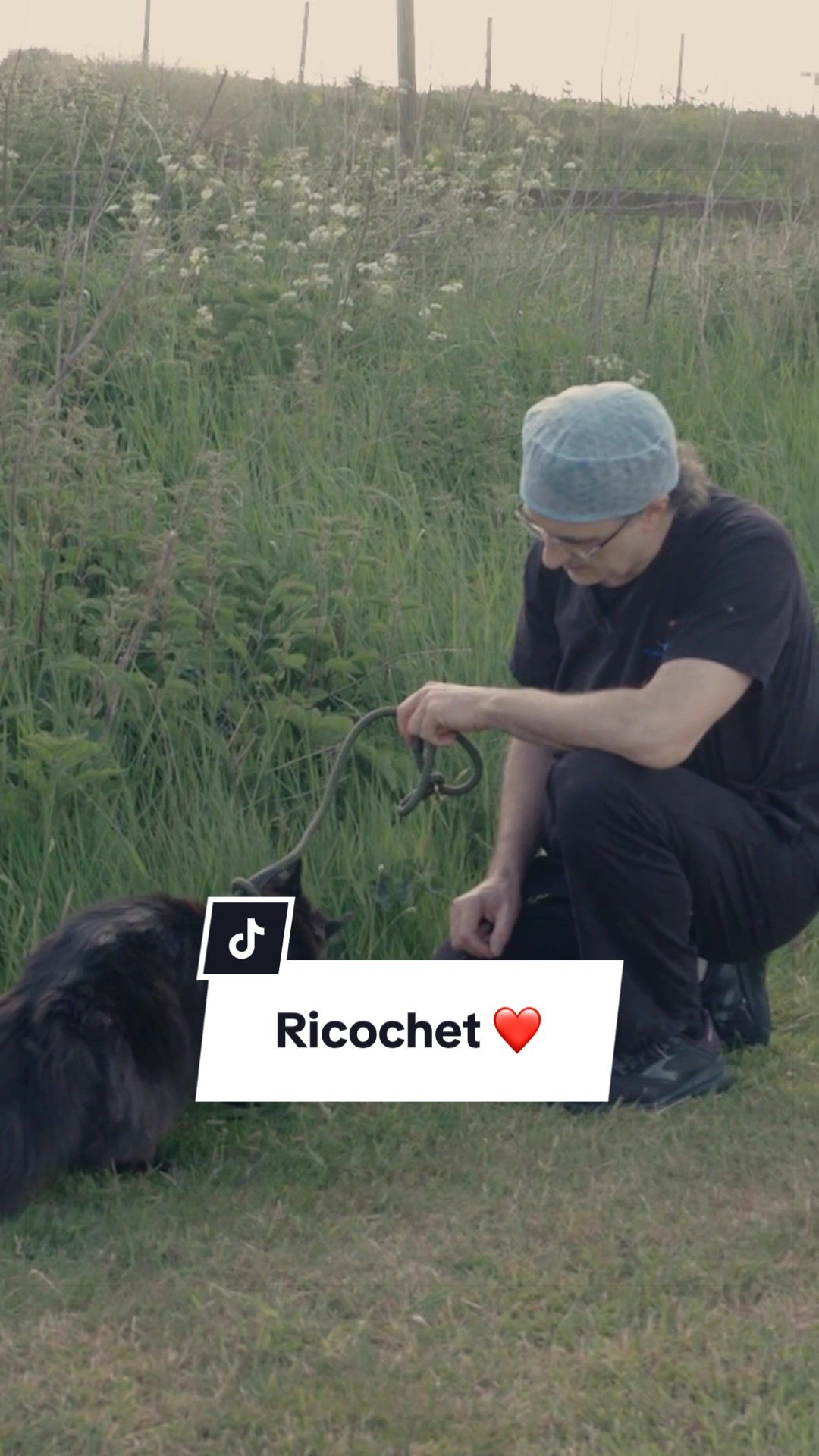 @profnoelfitzpatrick