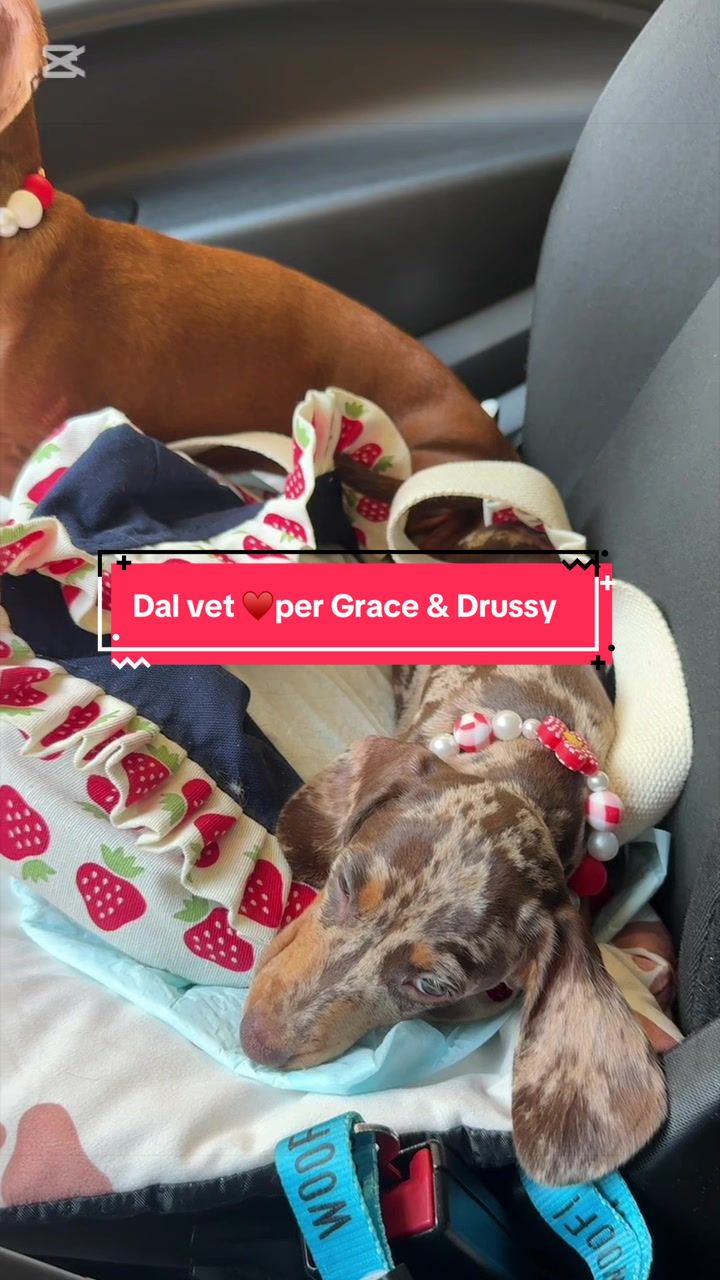 @Milly&Grace