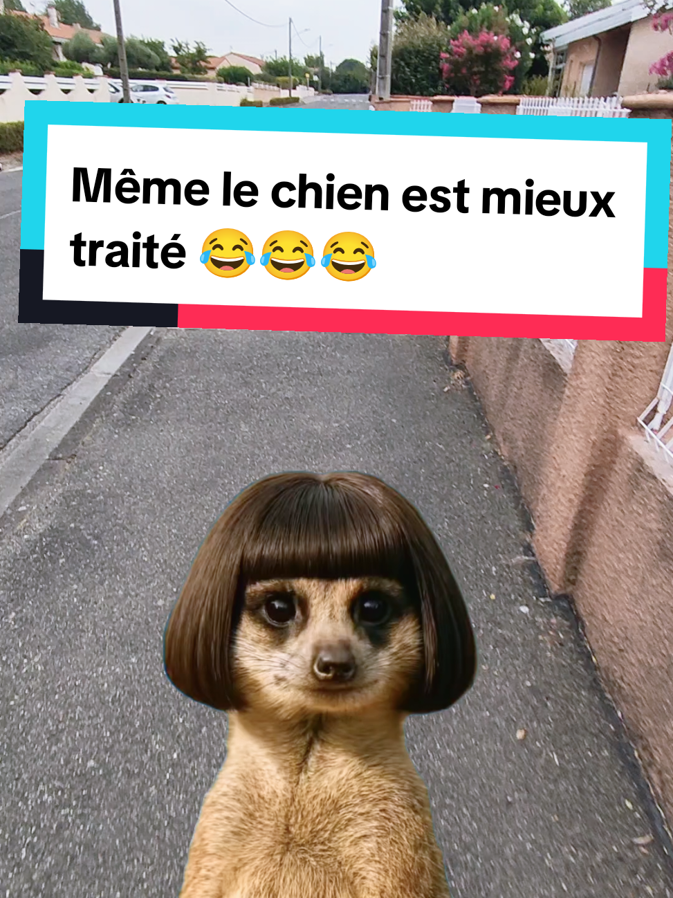 @𝘼𝙣𝙞𝙢𝙖𝙡𝙑𝙞𝙗𝙚