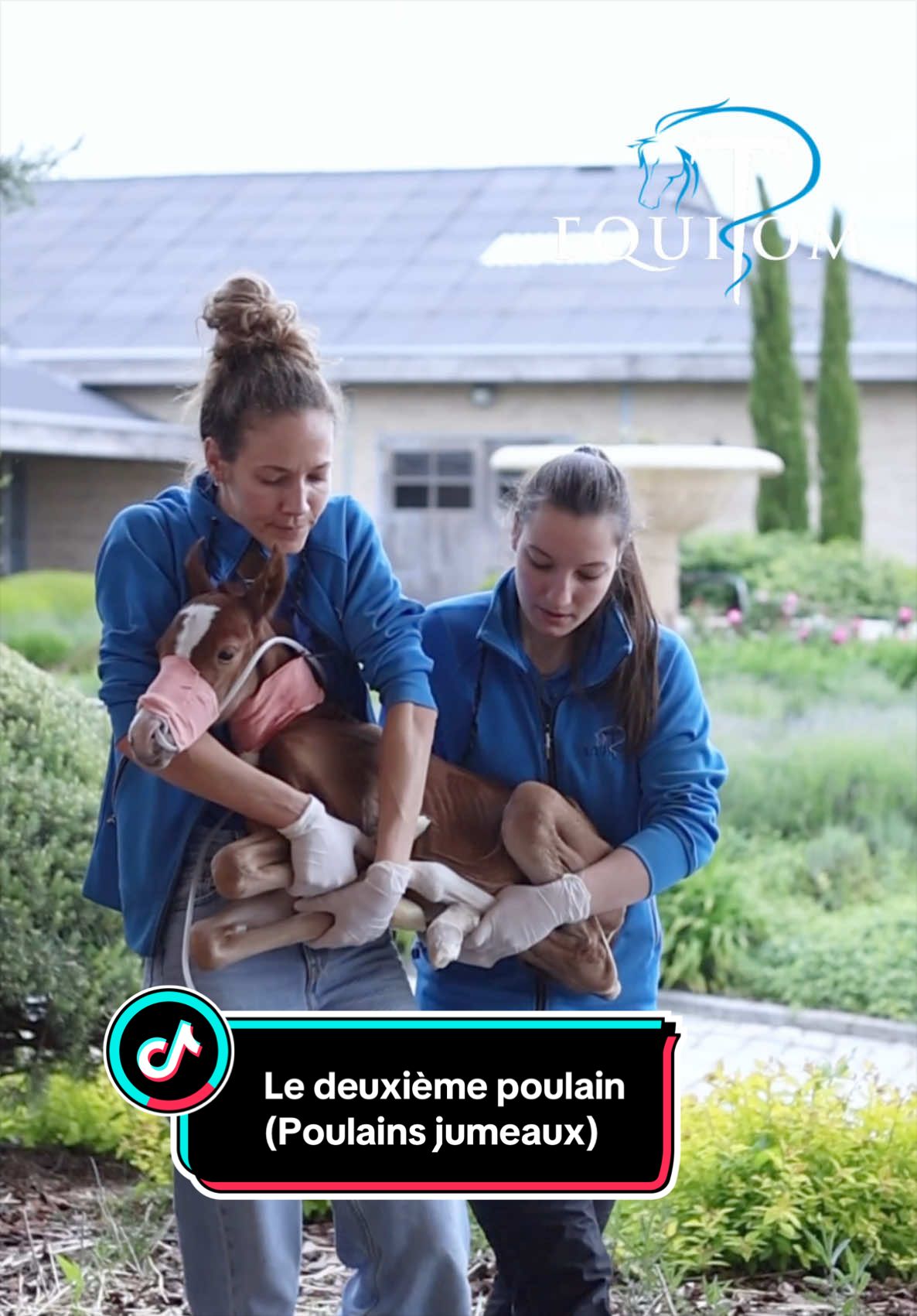 @Equitom