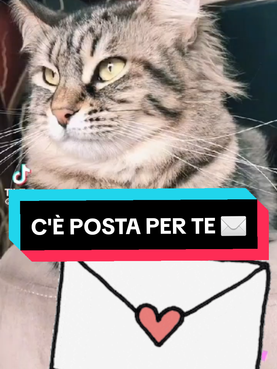 @Rita Tartaria