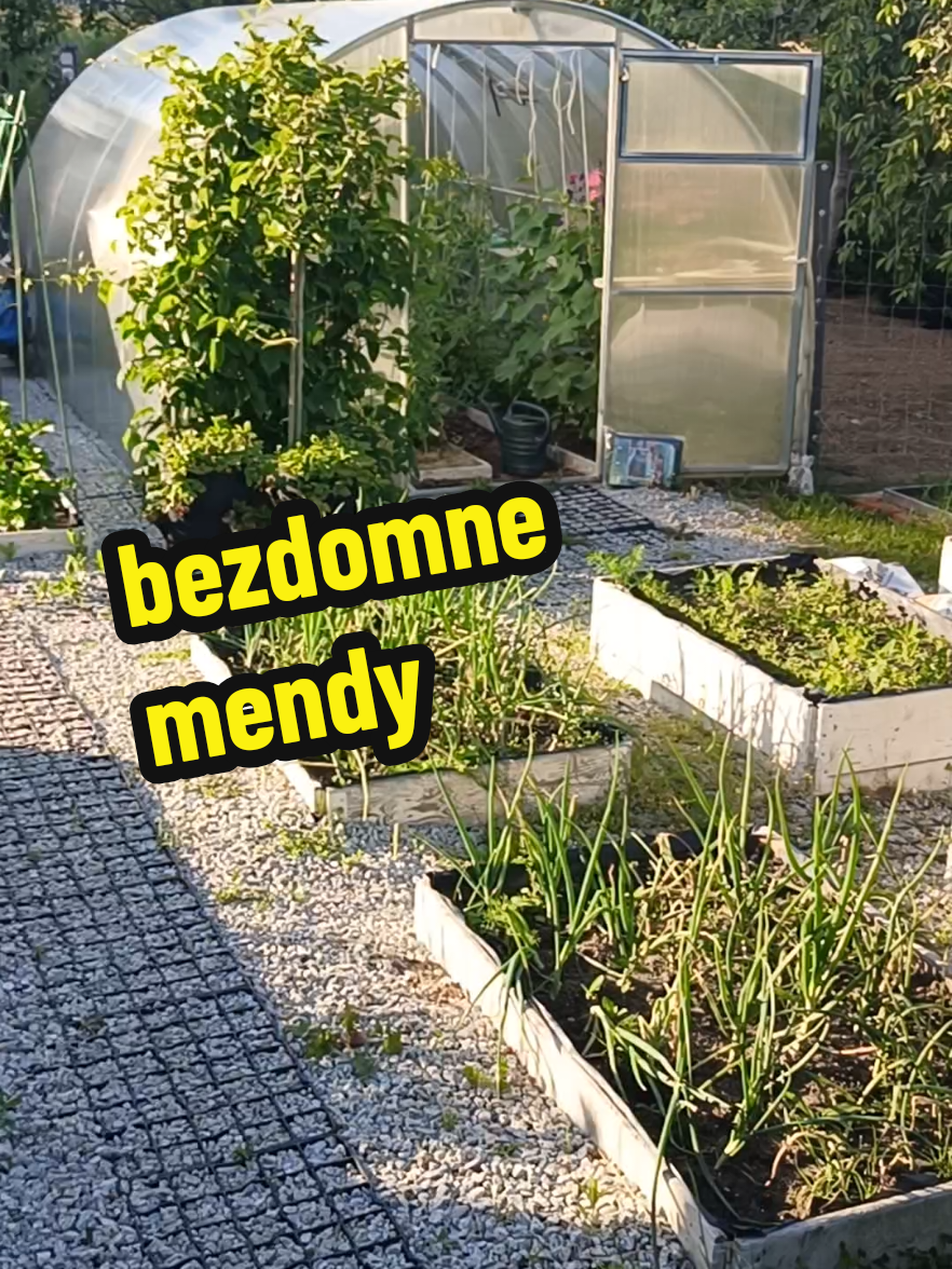 @Marcin ogrodnik