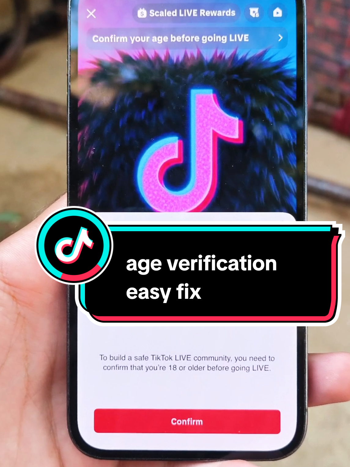 @tiktok_br_live shopping 🛒