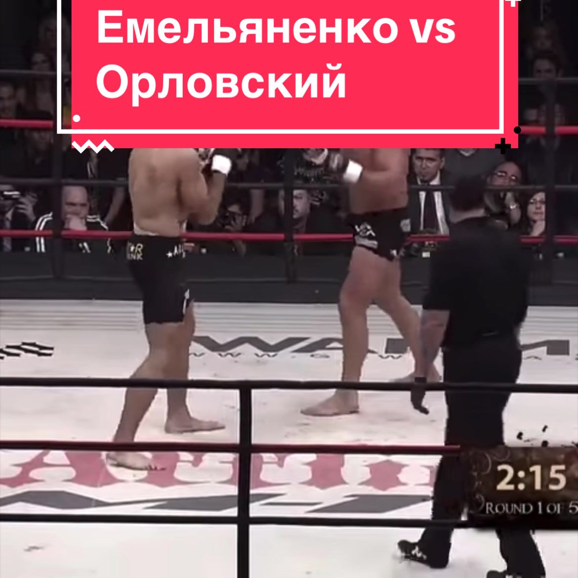 @Fight Zone / Зона боя