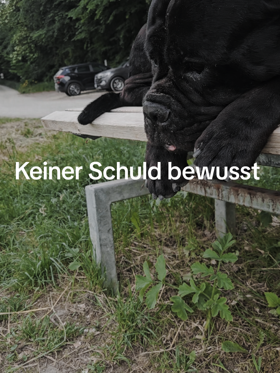 @Ludwig & Mich&egrave;le