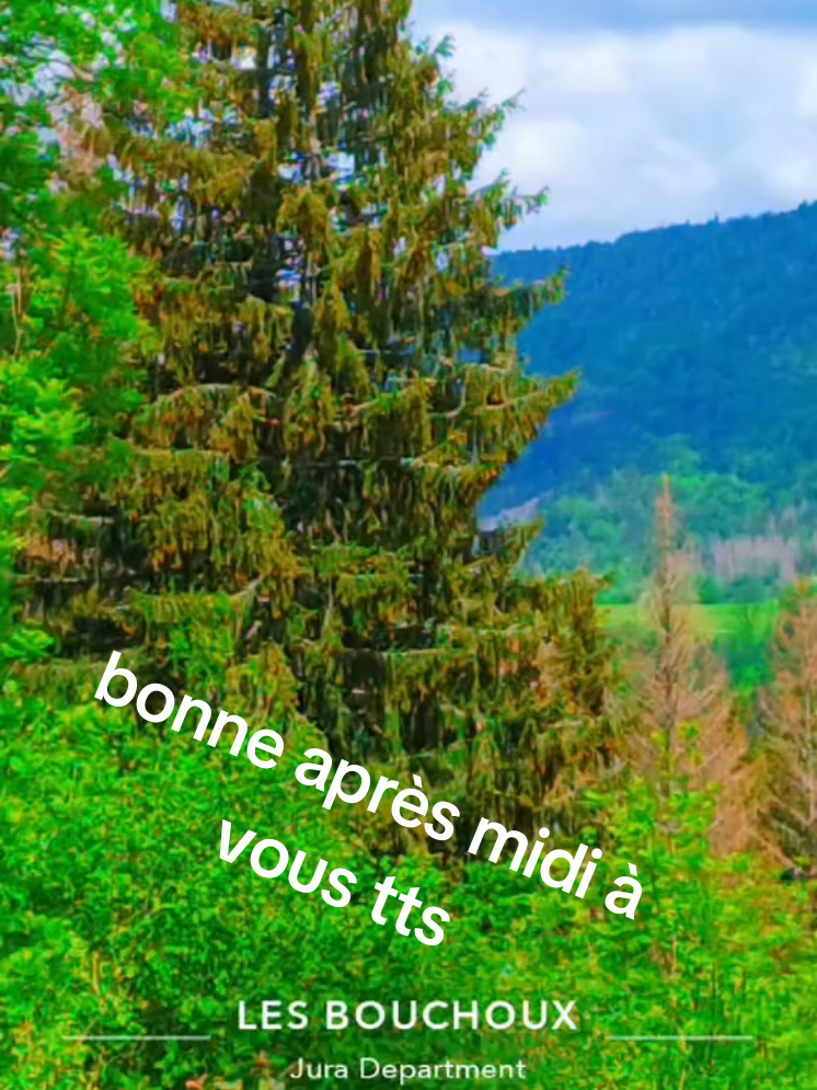 @grincheux08