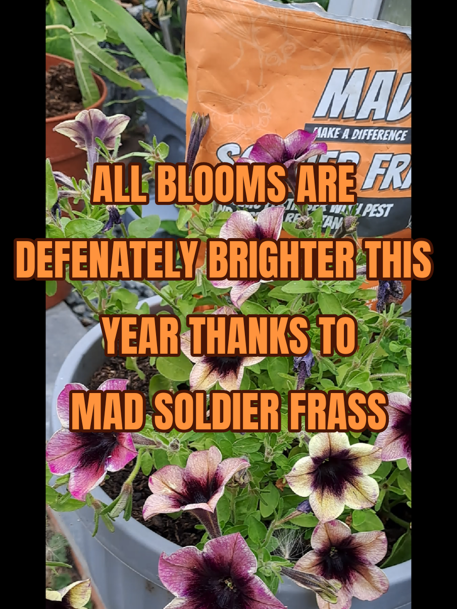 @MAD kyas forever growing💙🧡💚