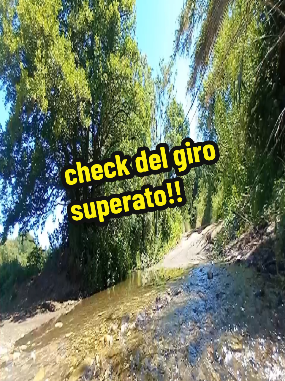 @Leonardo Torroni