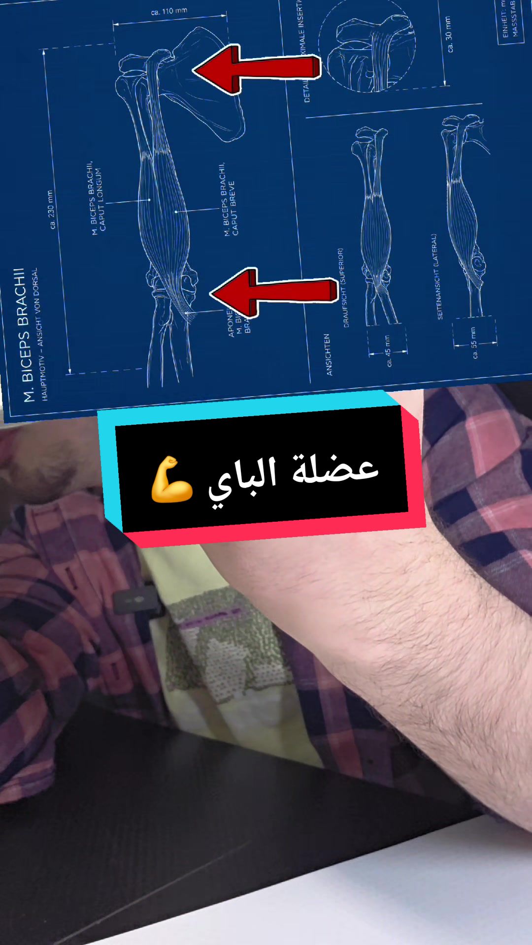 @د محمد نور بستاني 🇩🇪