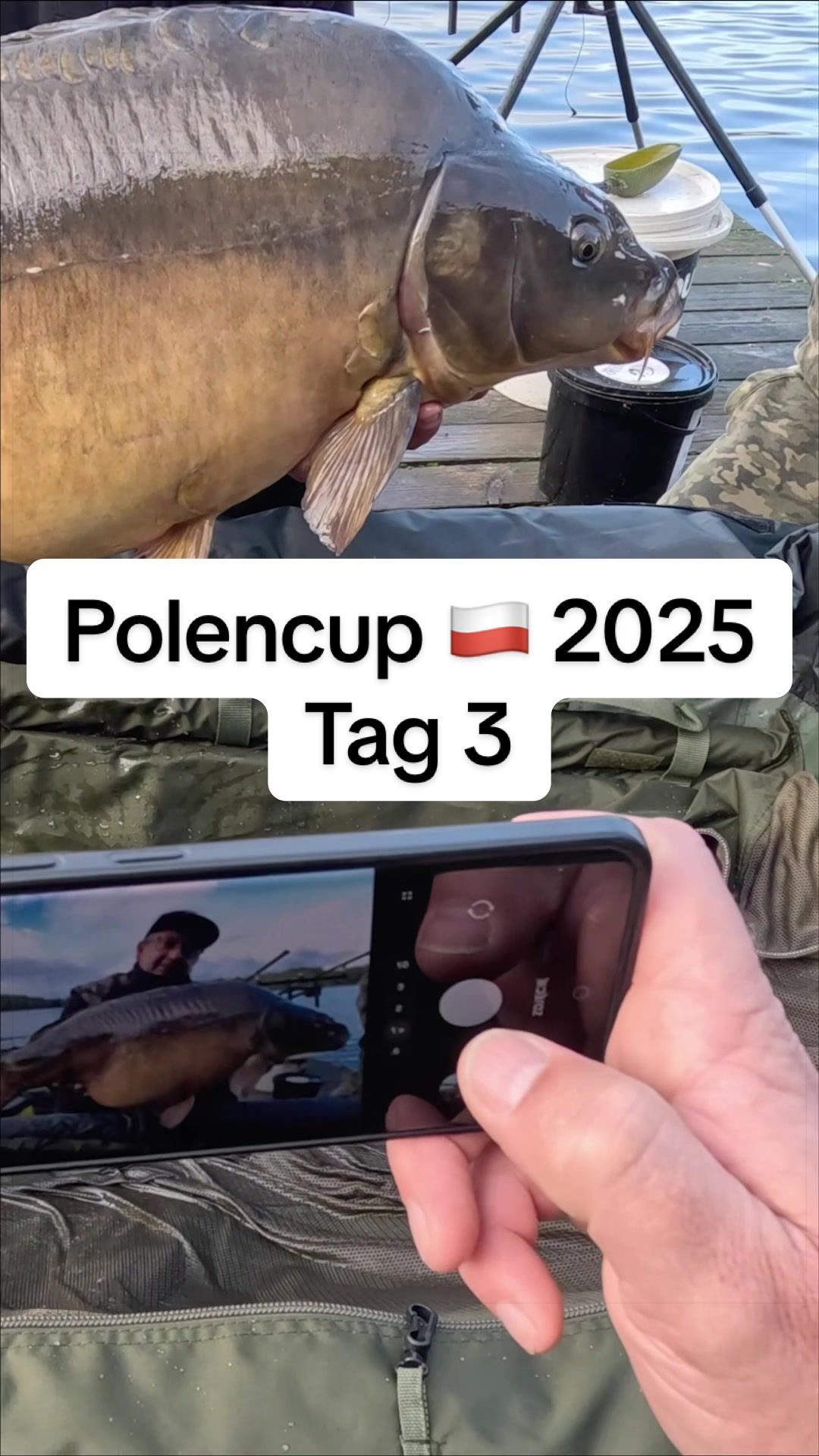@anaconda.carp