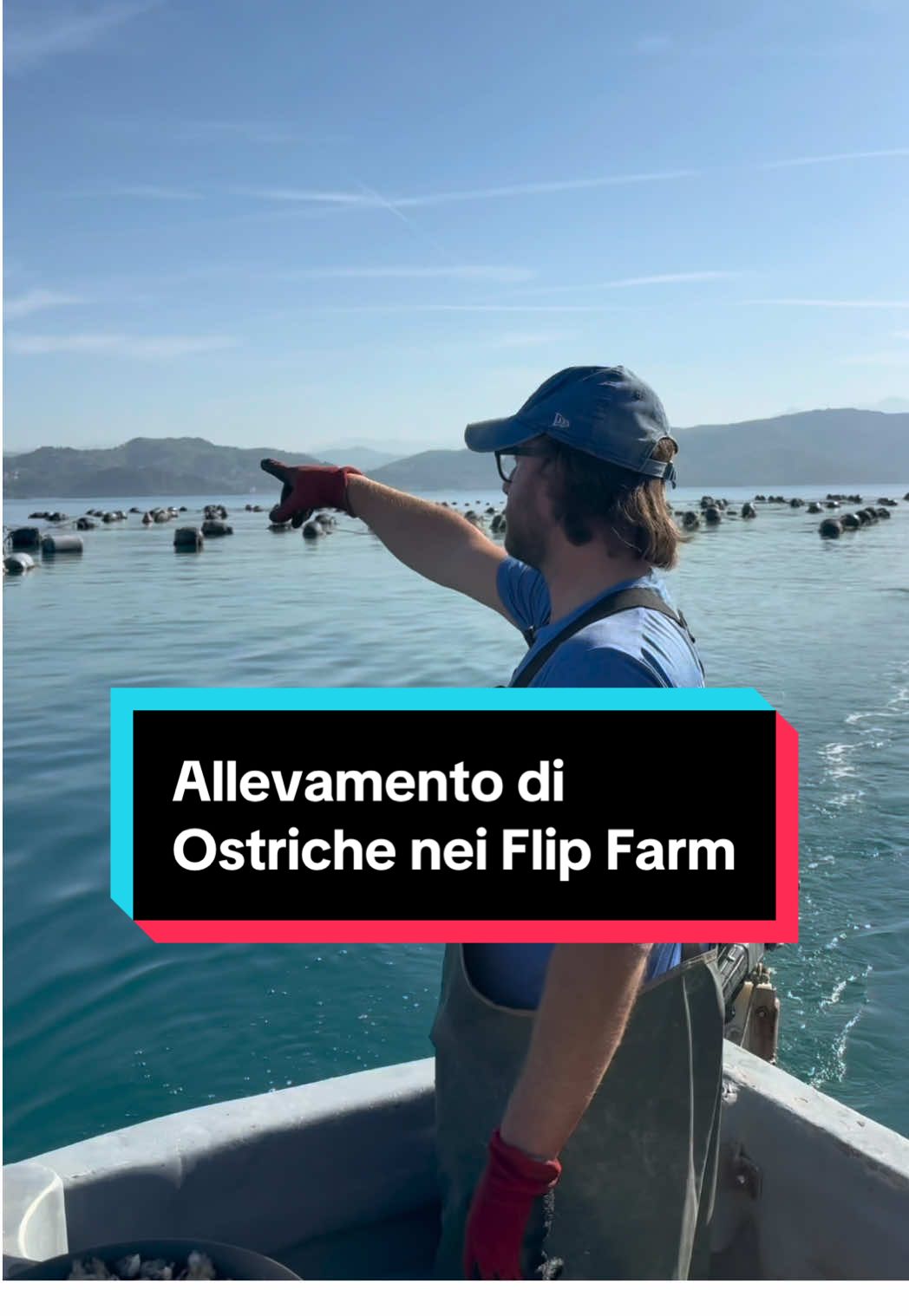 @Mitili&Mitili