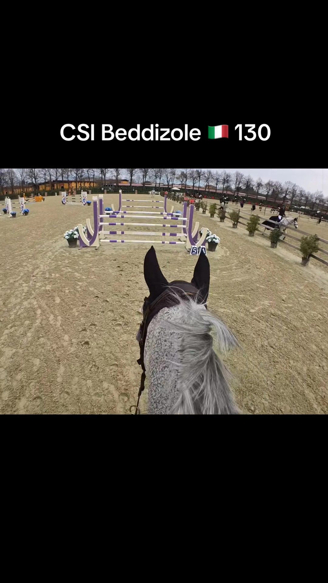 @lam.showjumping