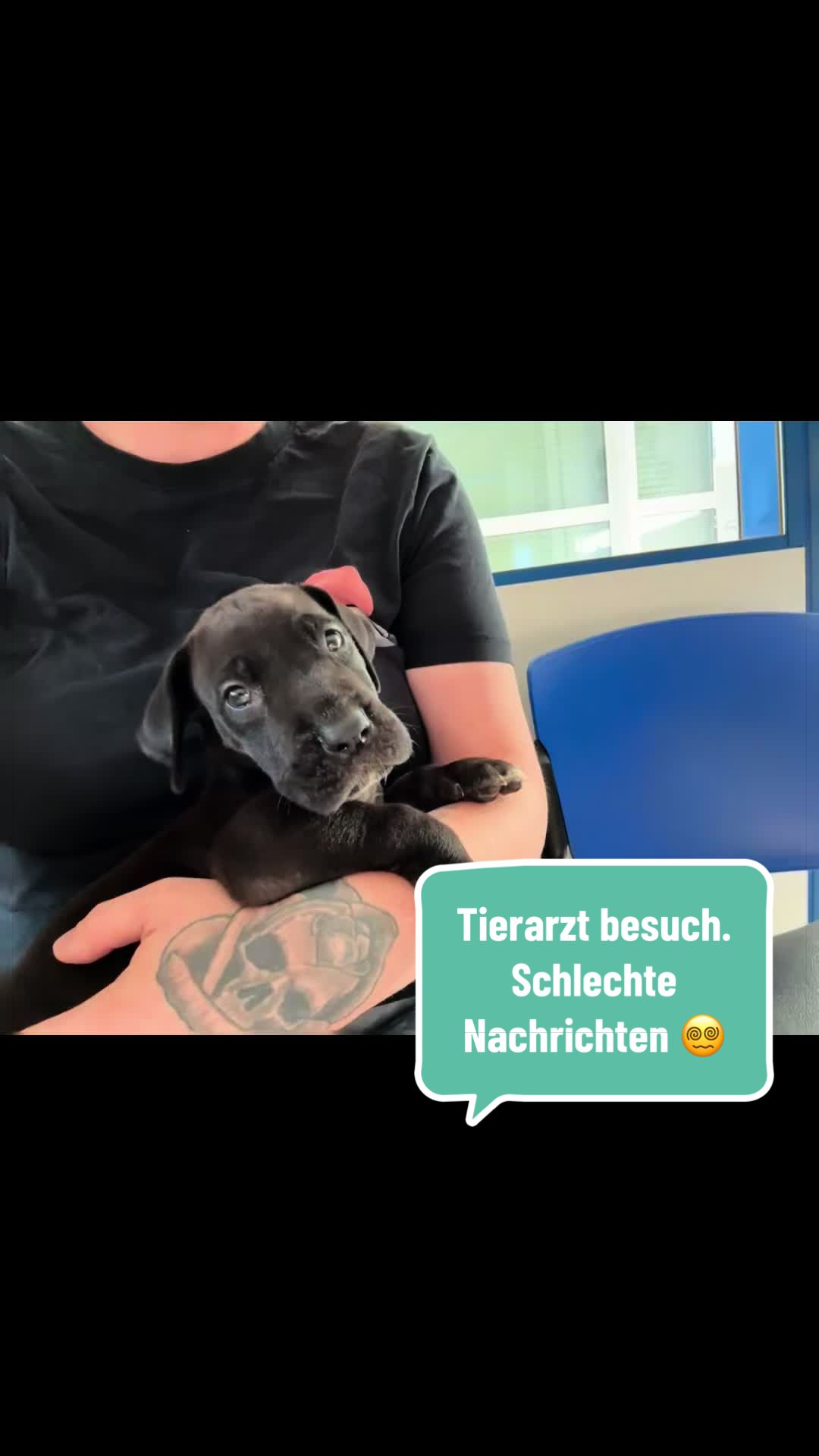 @Doggen von Lucaelis