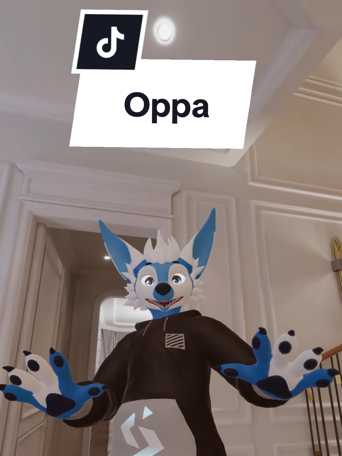 @Seaiter