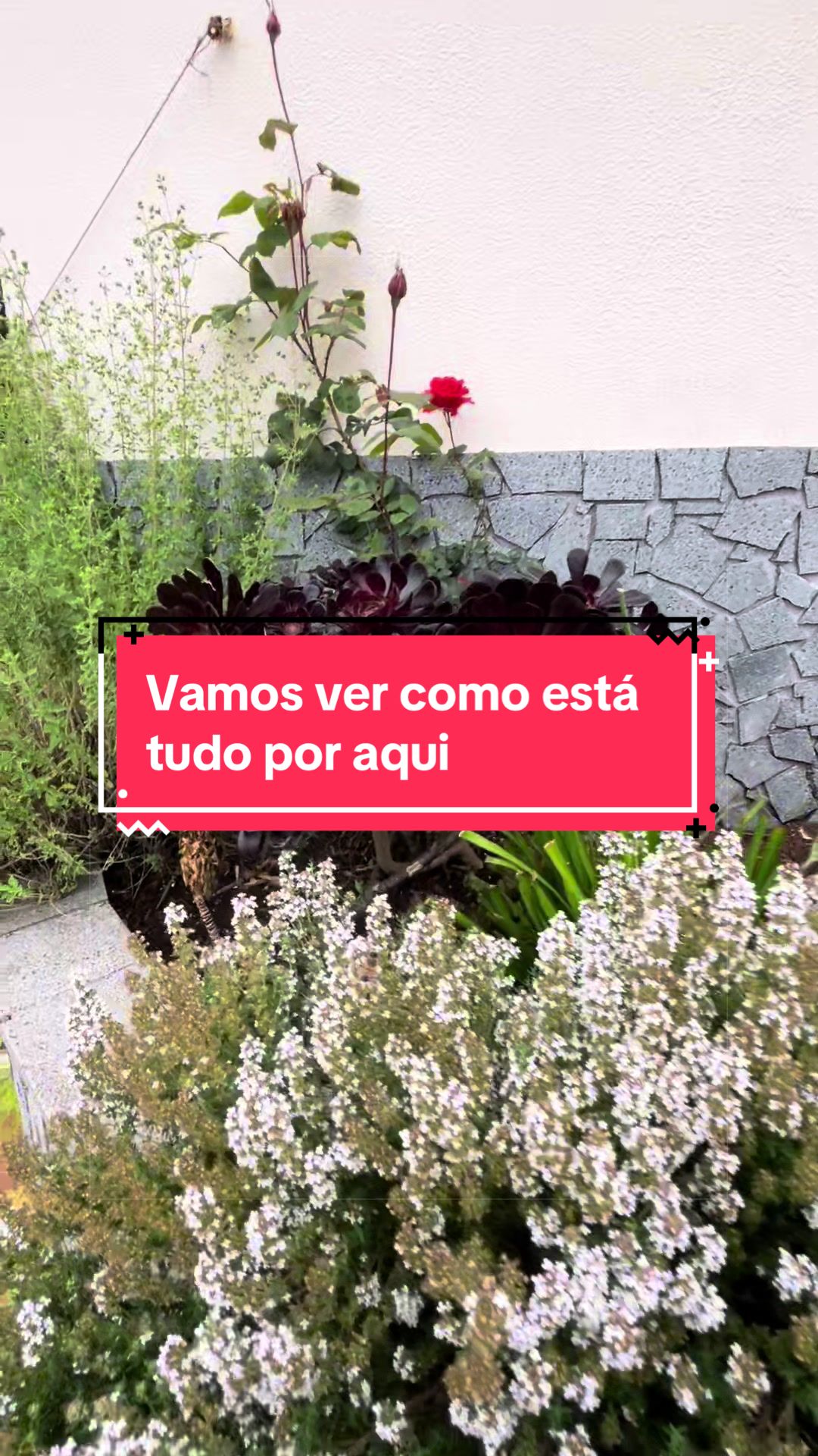 @Graca.Madeira