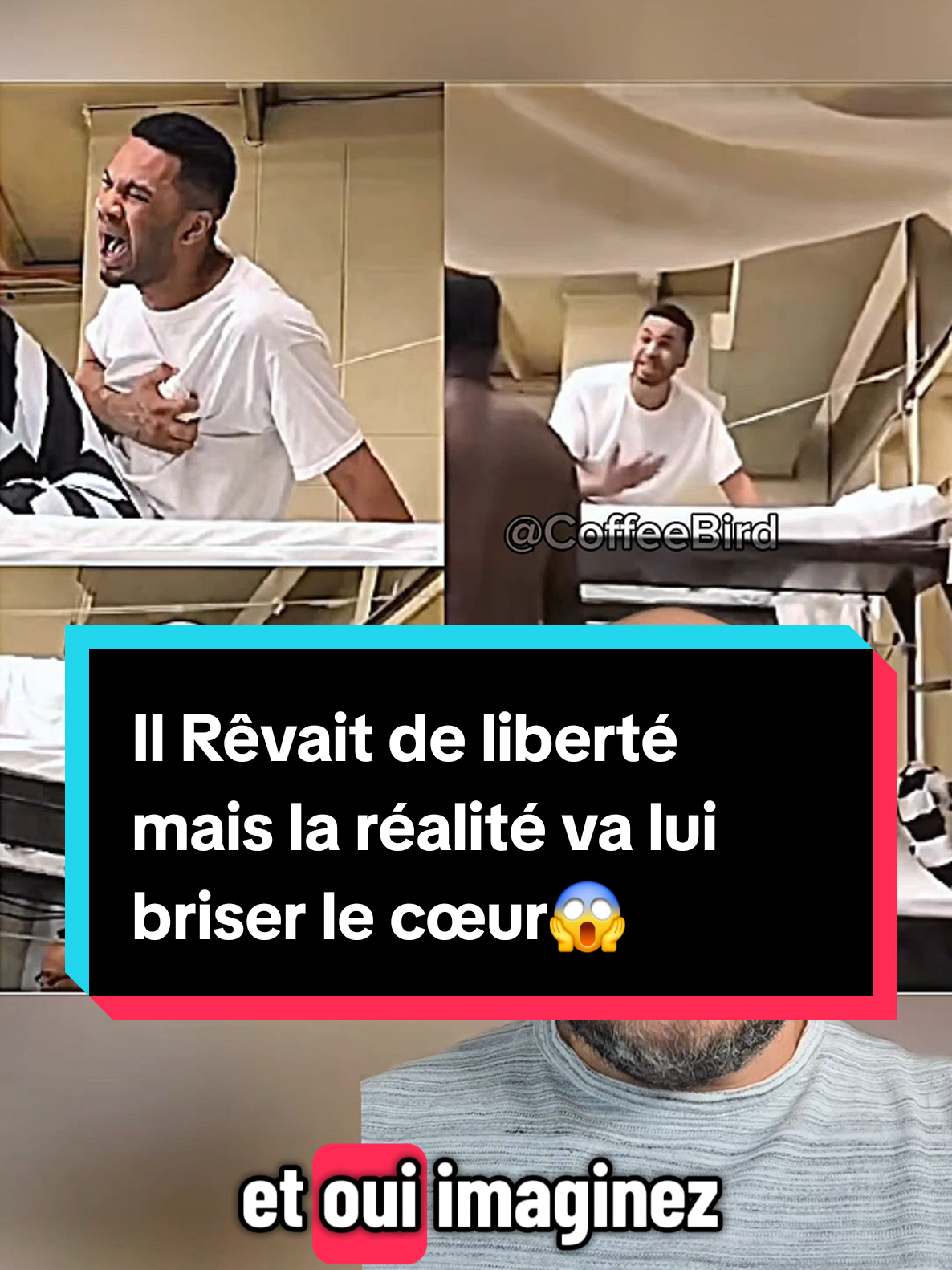 @Coffeebird_France