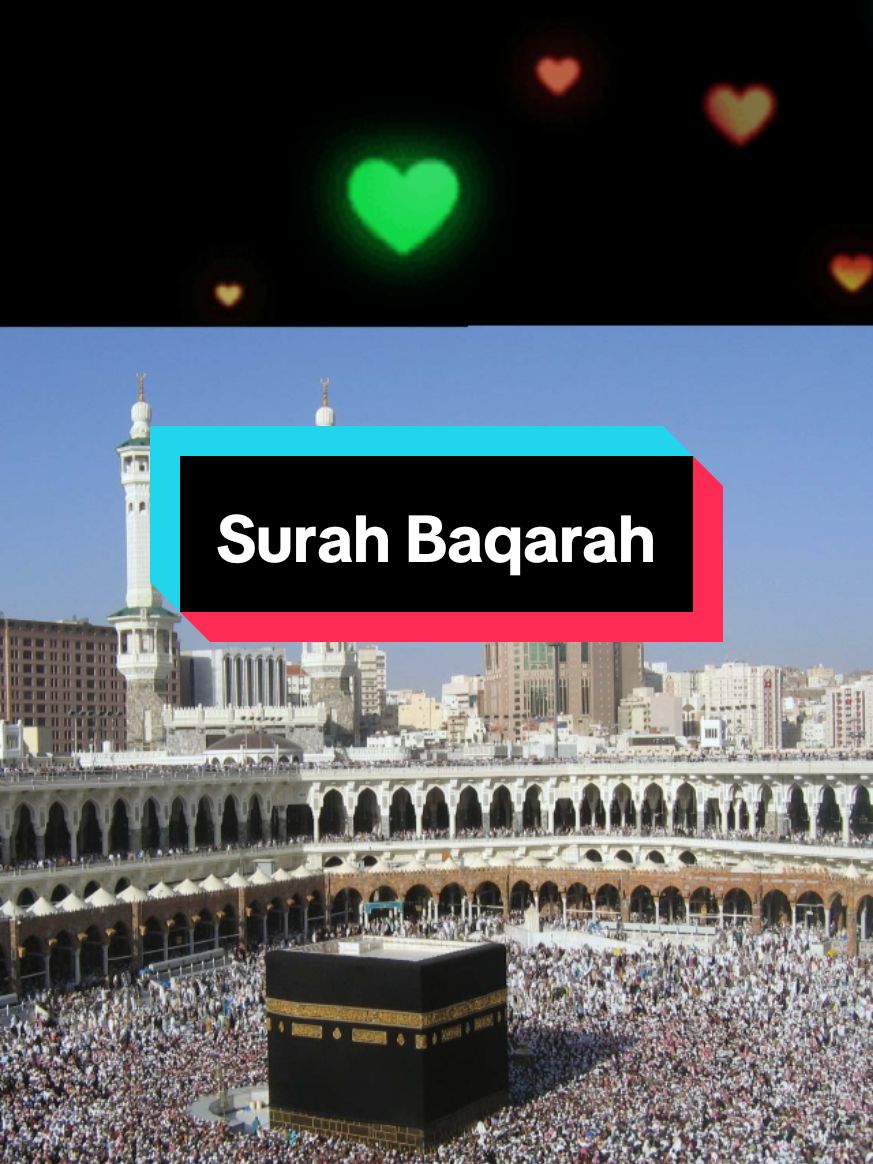 @MrMajid ; (مسٹر مجید)