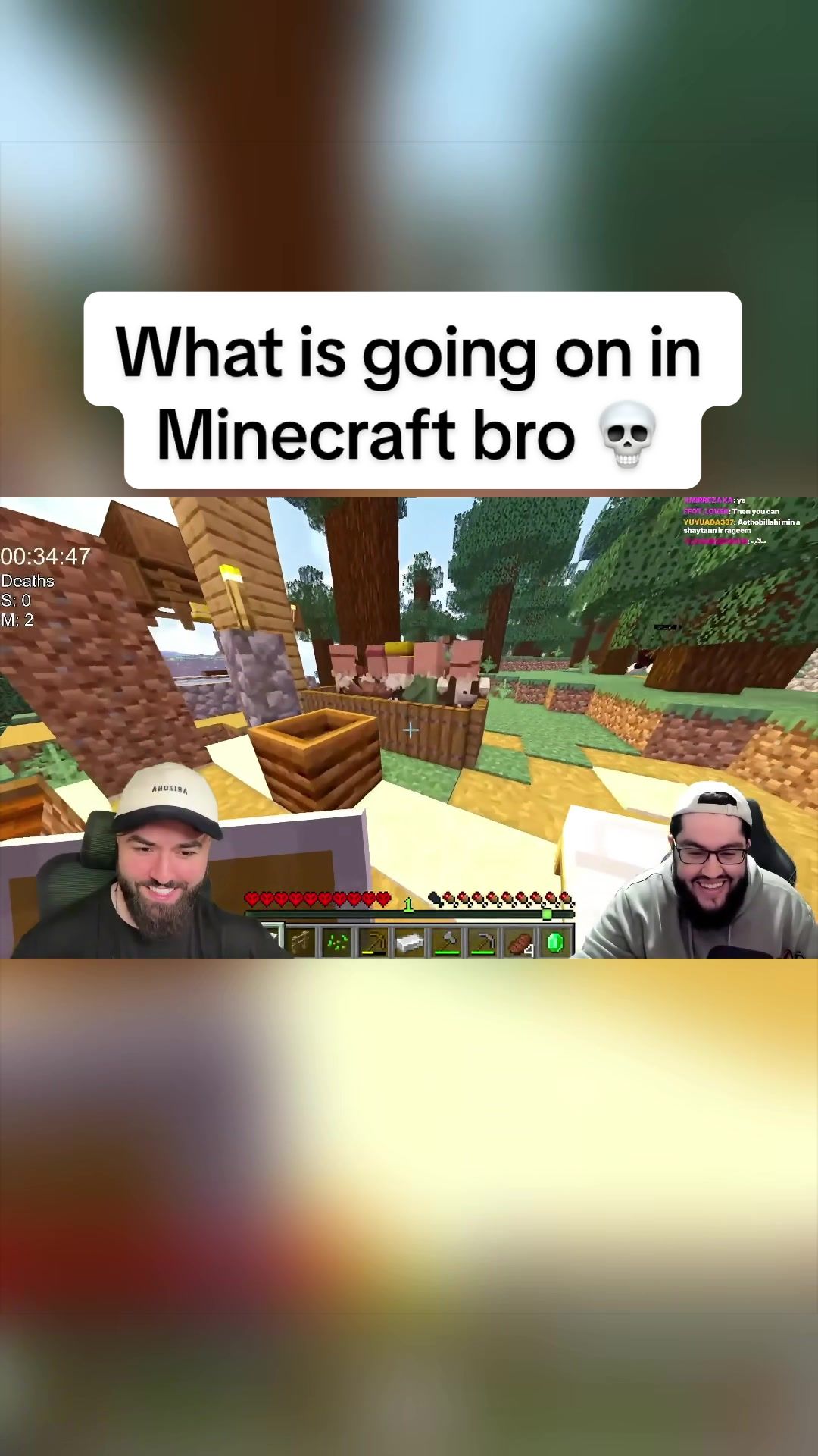 @Sxzxr