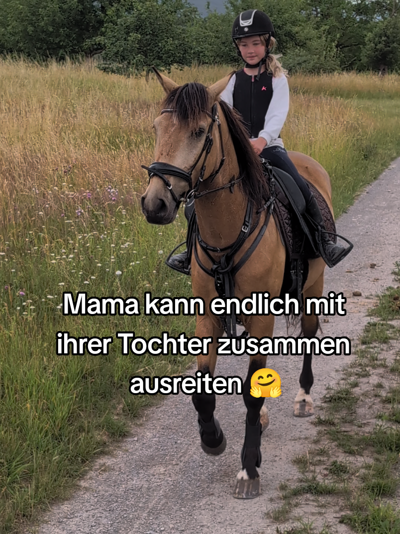 @Caro_Sofie_Offenstallliebe
