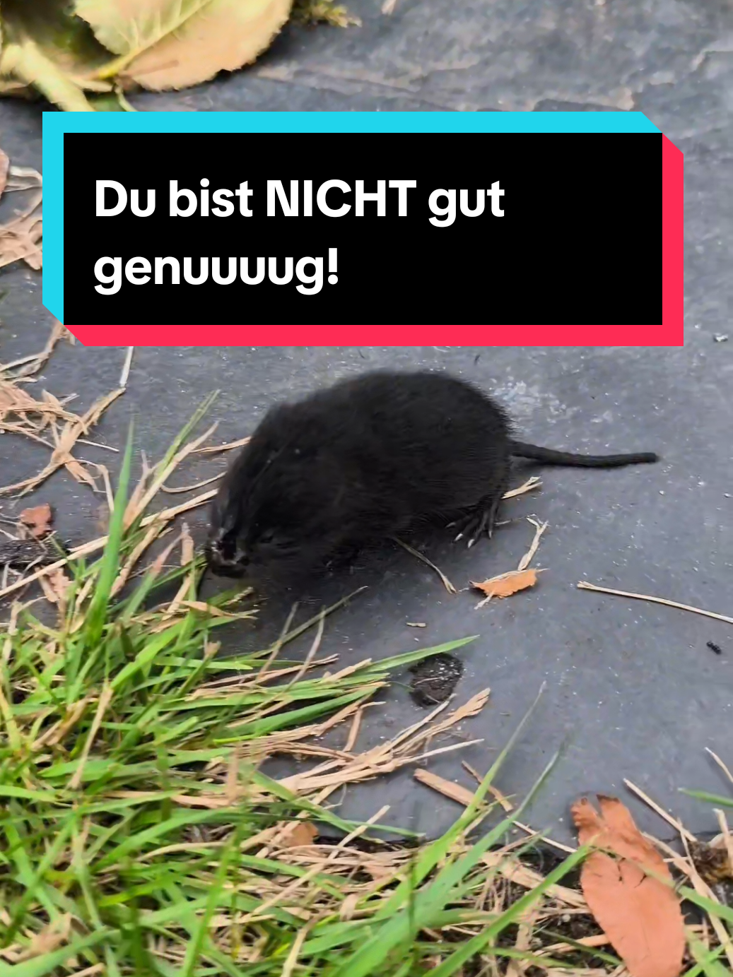 @DieSelbstvOrsorger