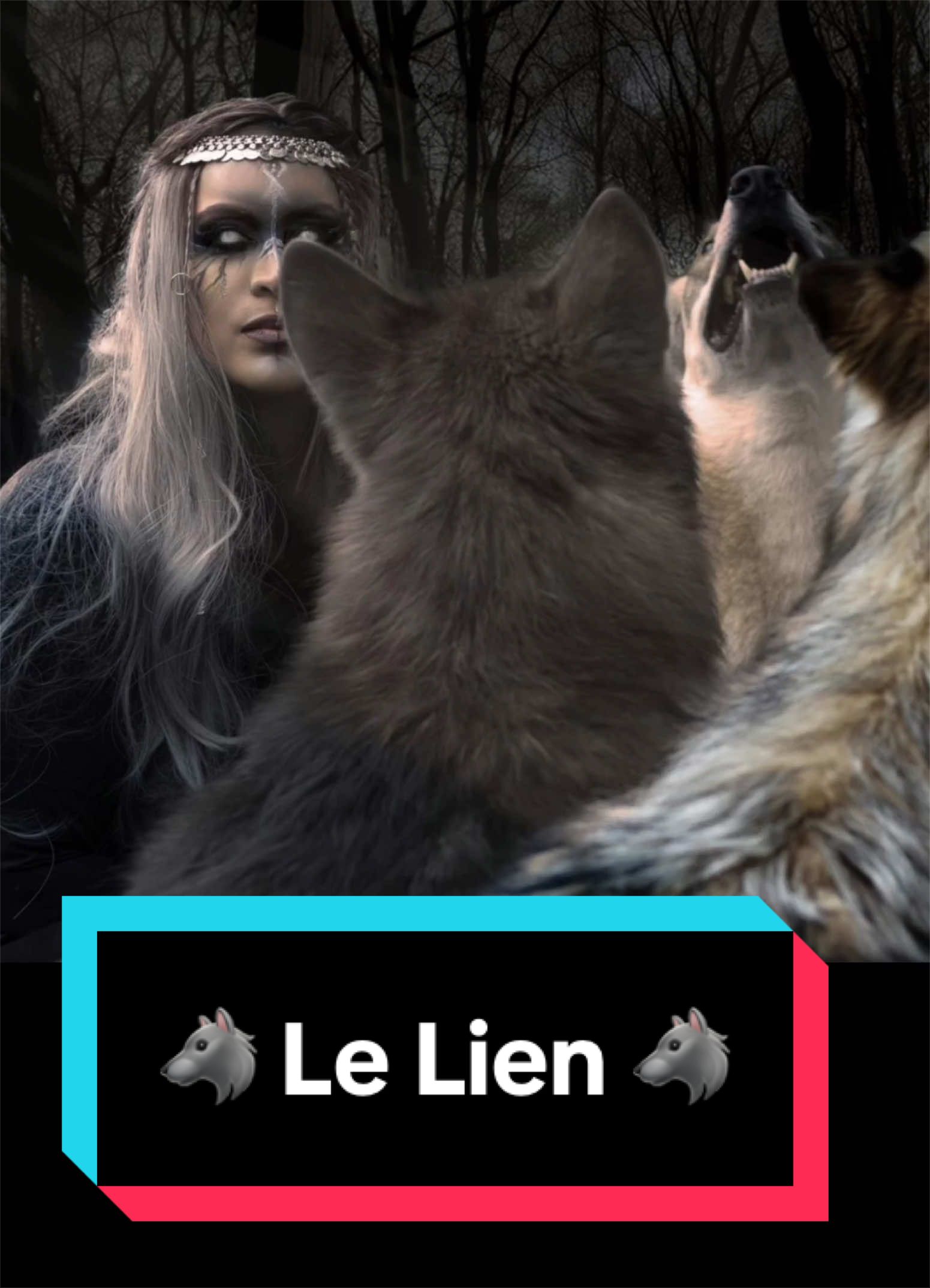 @🐺 Ragnar_et_sa_meute 🐺