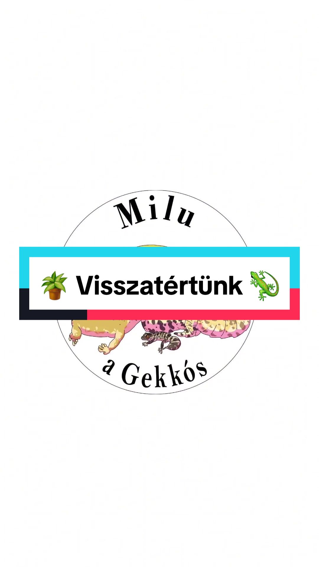 @Milu a Gekk&oacute;s 🦎