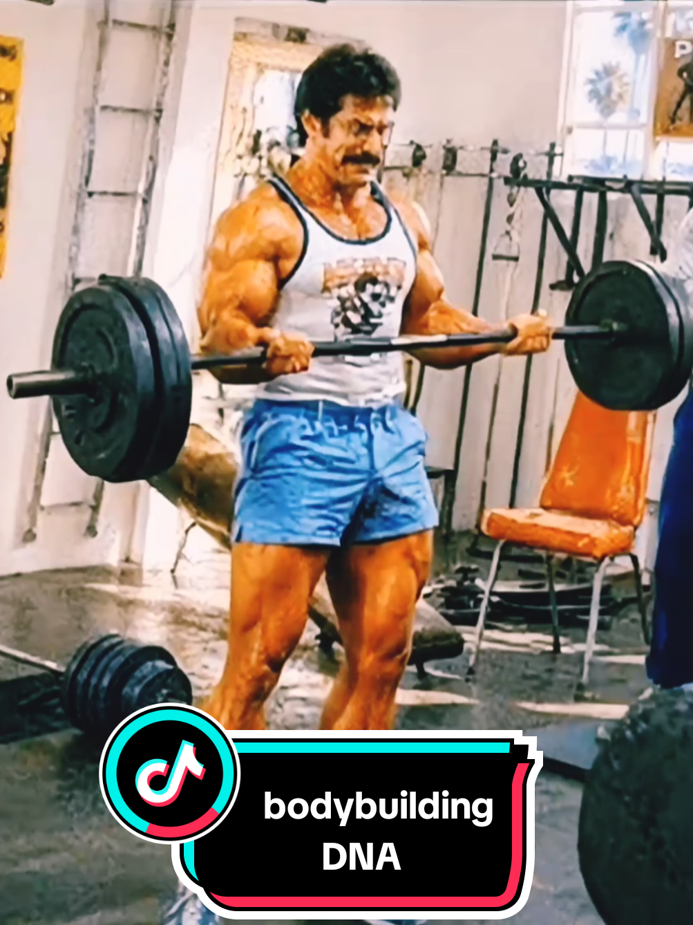 @bodybuildingDNA