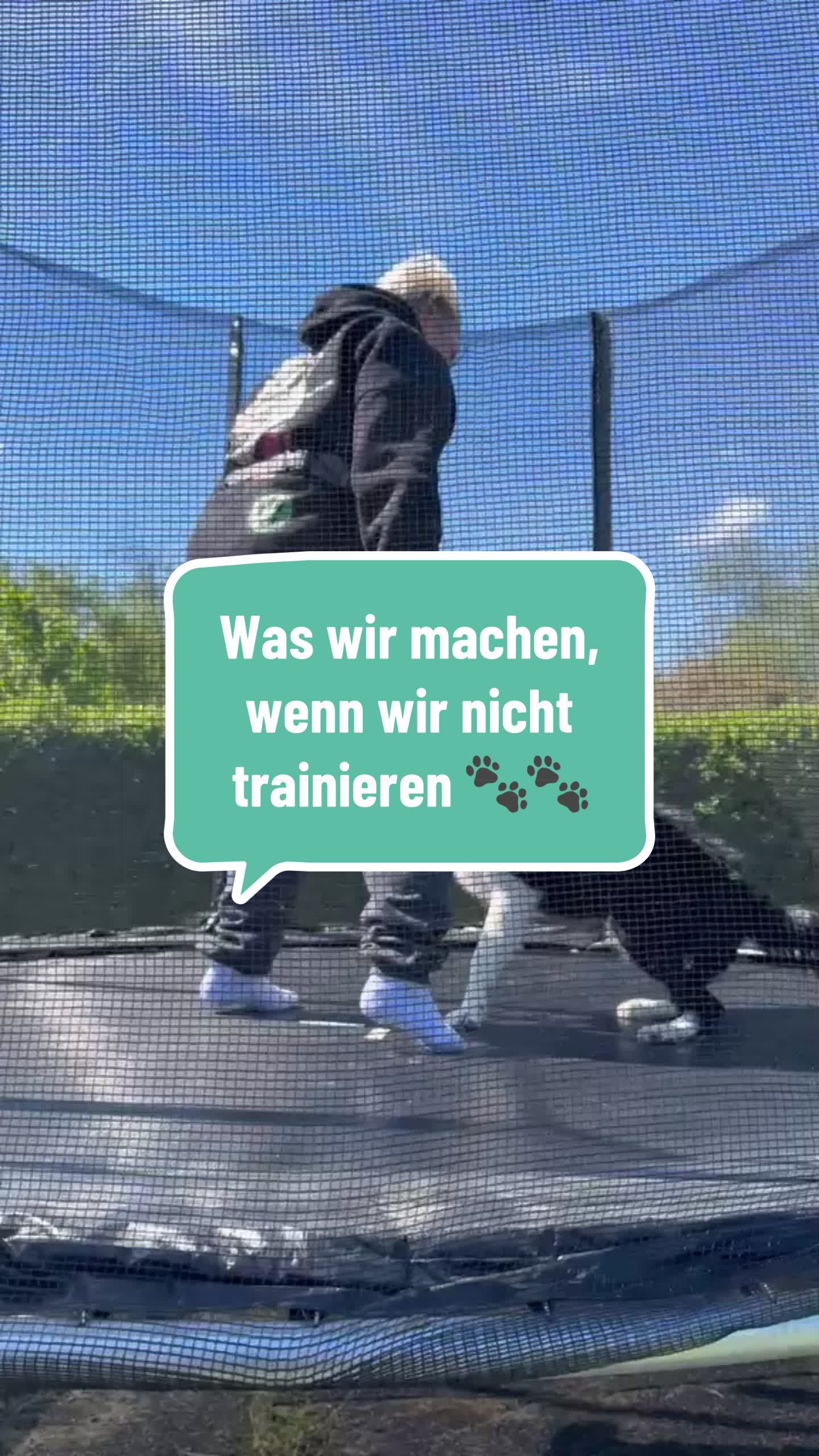@ELAS.PET.DIARY