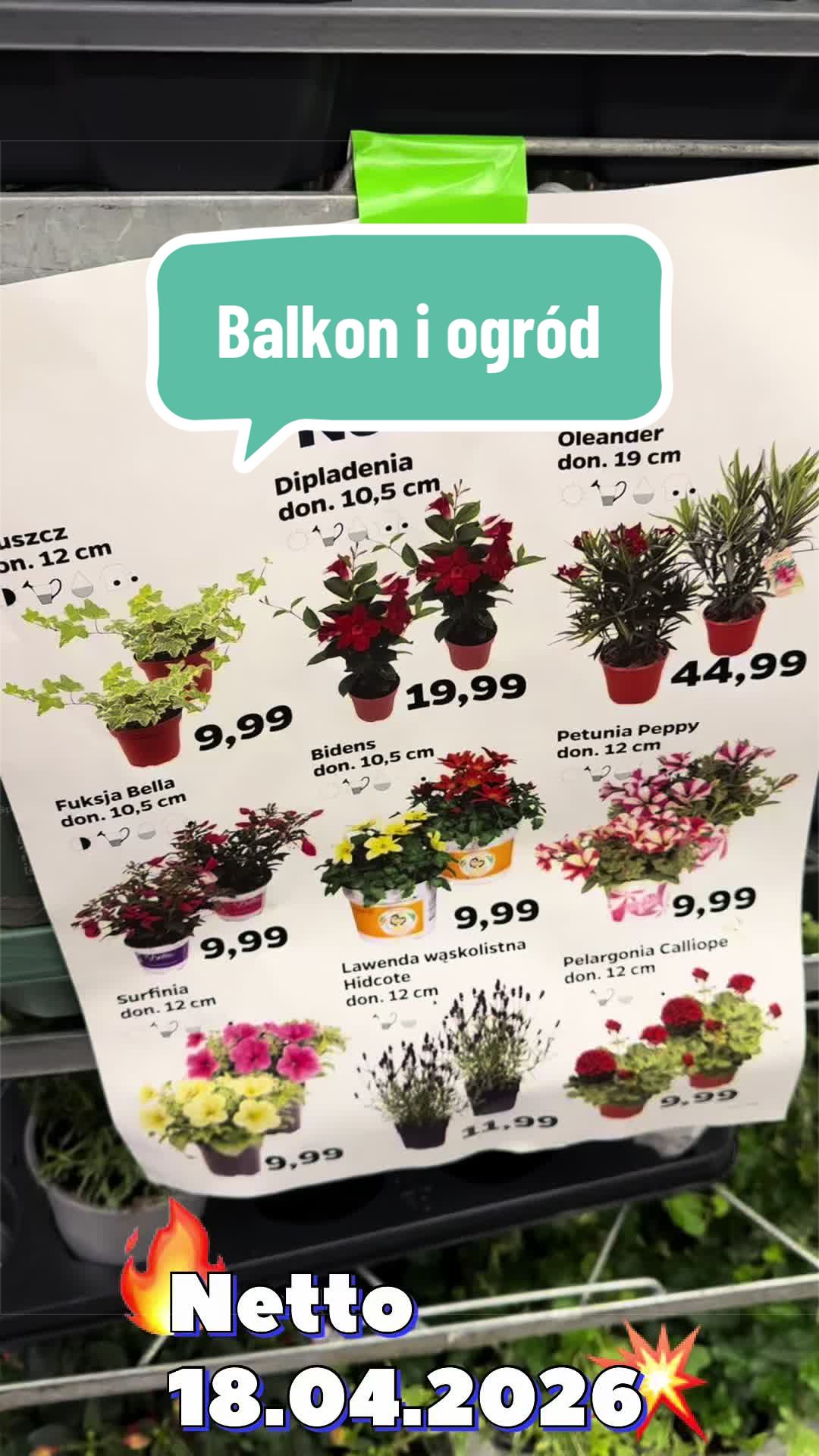 @maciej.plants