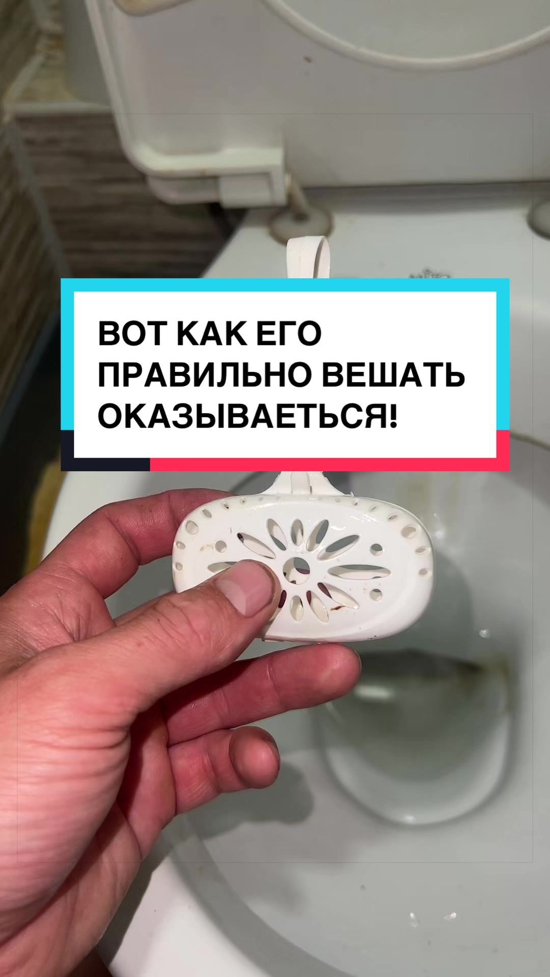 @laifhak_mozgi
