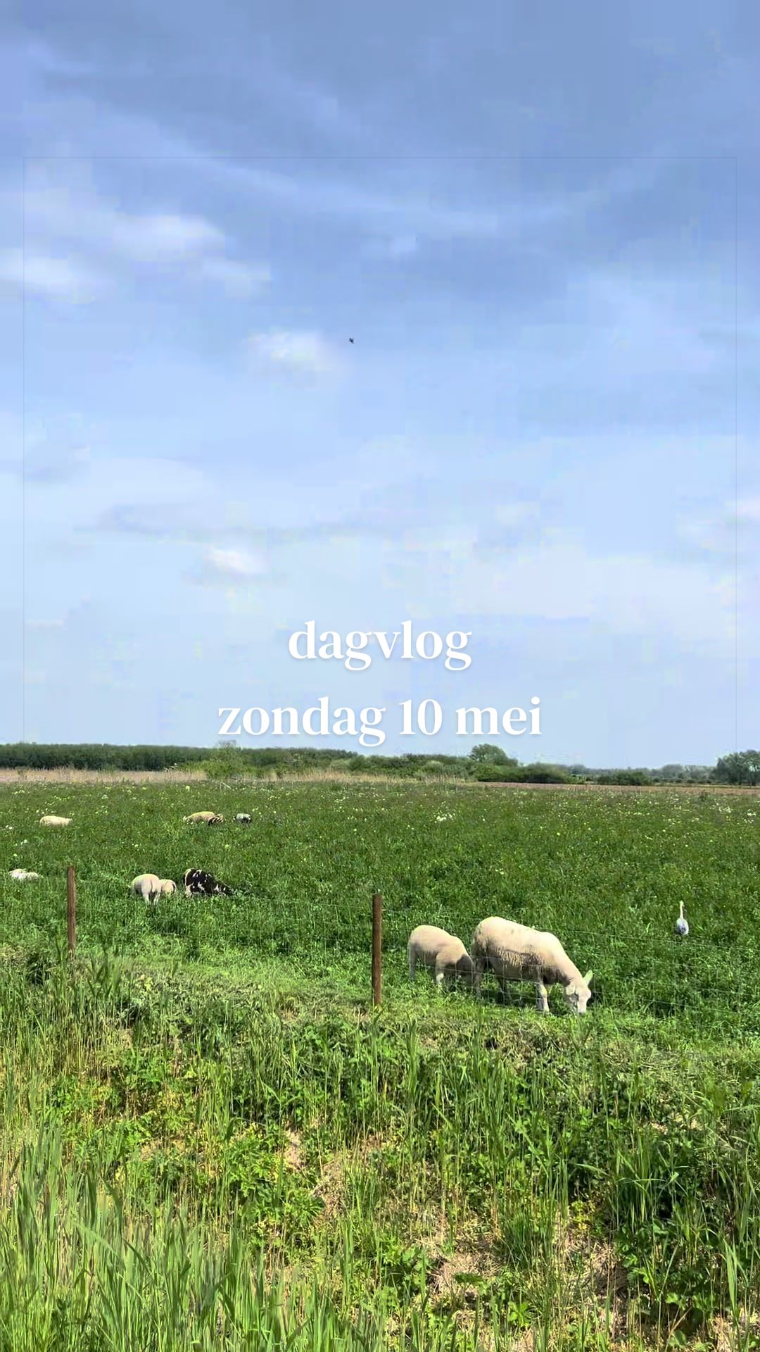@am&eacute;lie :)