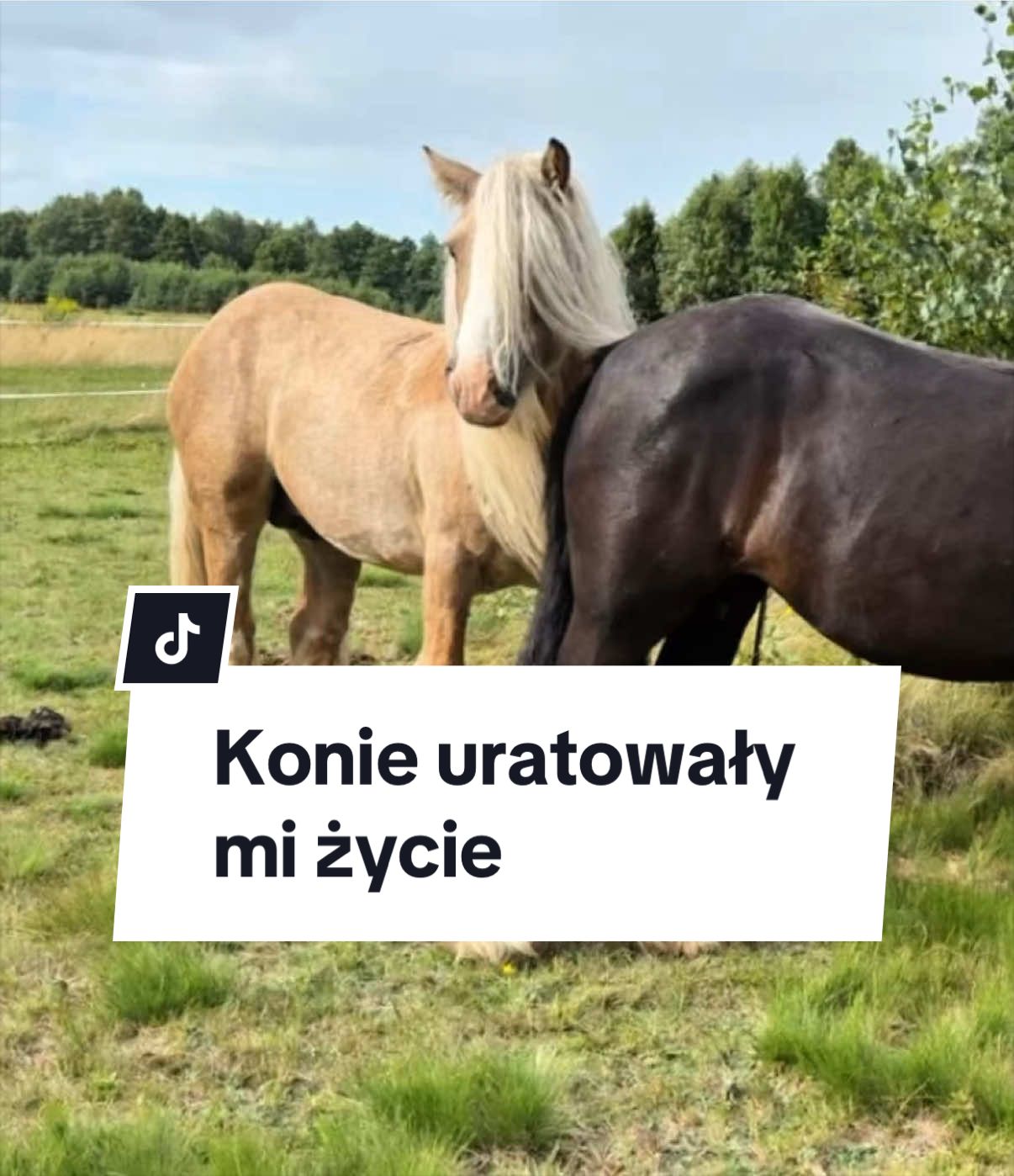 @KsiężycowaStajnia.VulkaDollArt